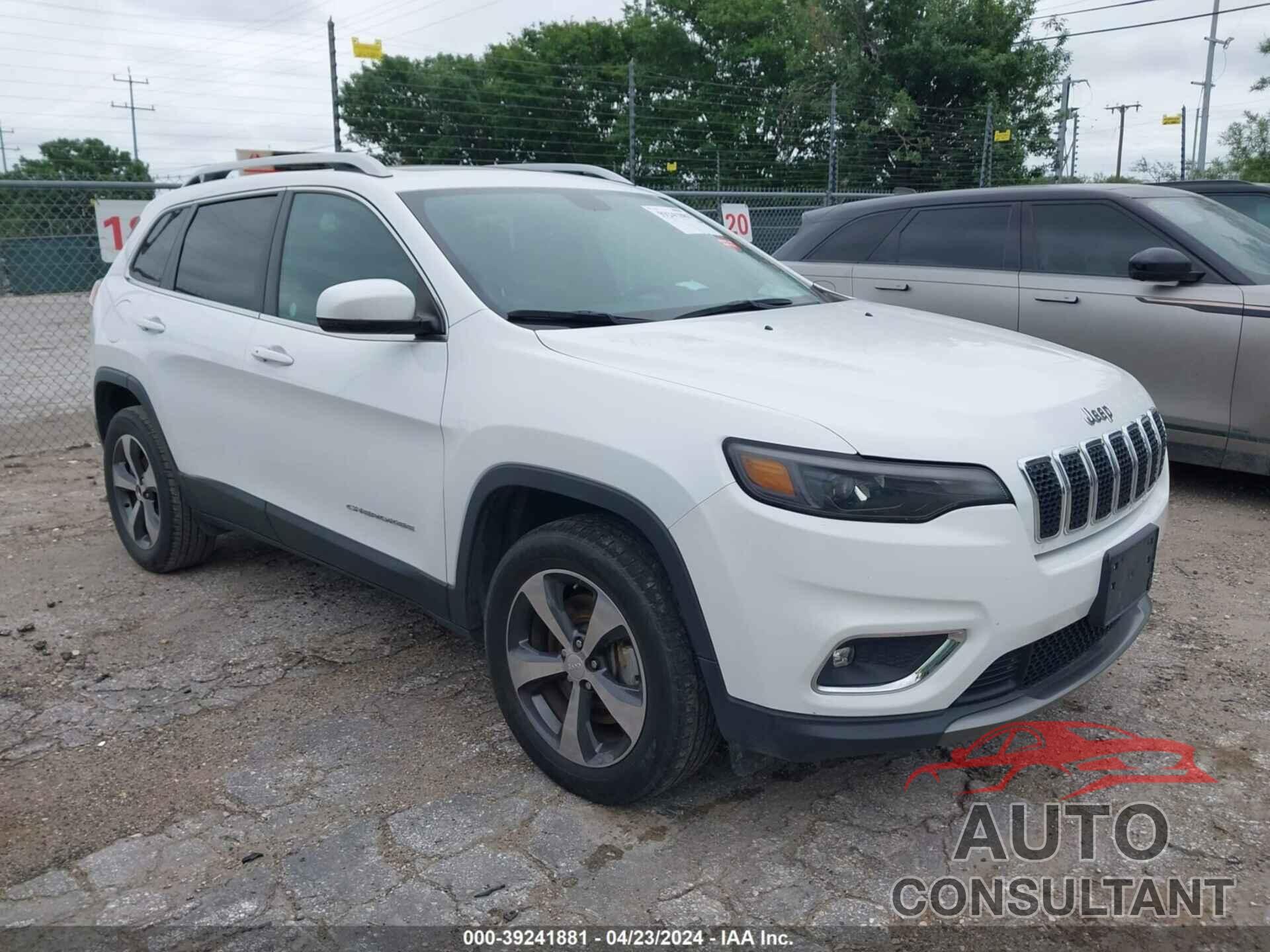 JEEP CHEROKEE 2019 - 1C4PJMDX3KD336716