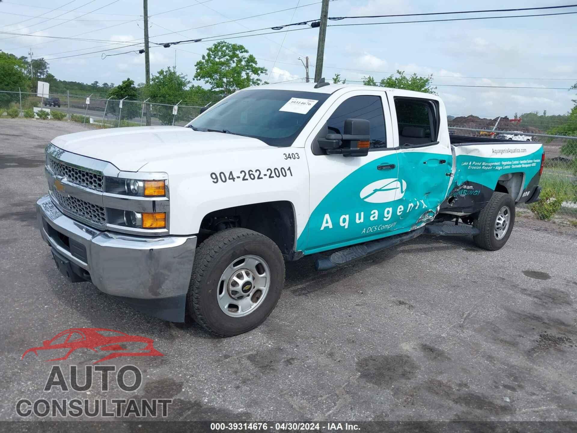 CHEVROLET SILVERADO 2024 - 1GC1YLE79RF240629