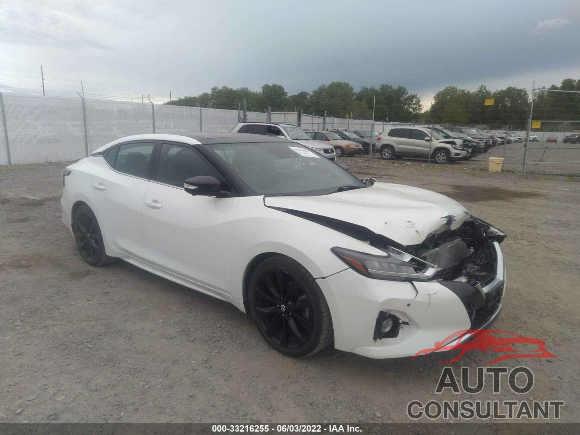 NISSAN MAXIMA 2019 - 1N4AA6AV7KC378743