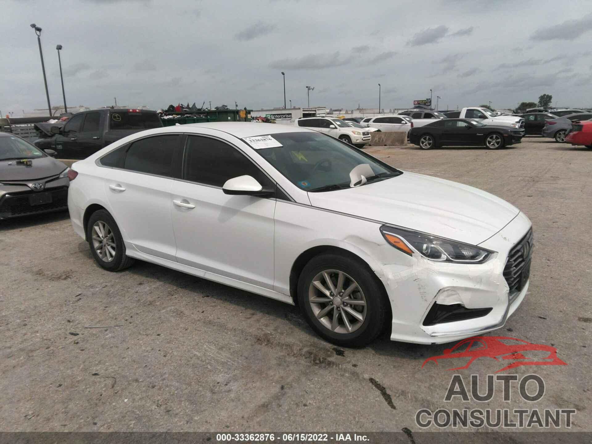 HYUNDAI SONATA 2019 - 5NPE24AF8KH755624