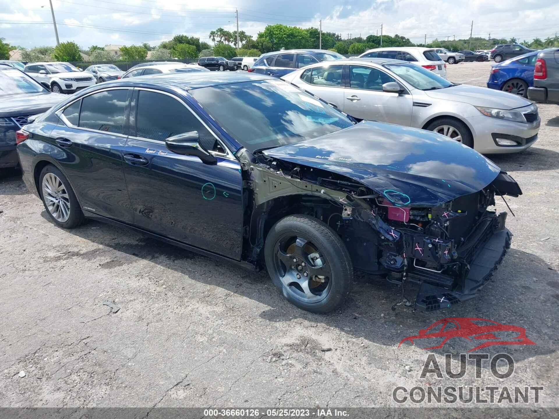 LEXUS ES 2021 - 58AFA1C17MU013042