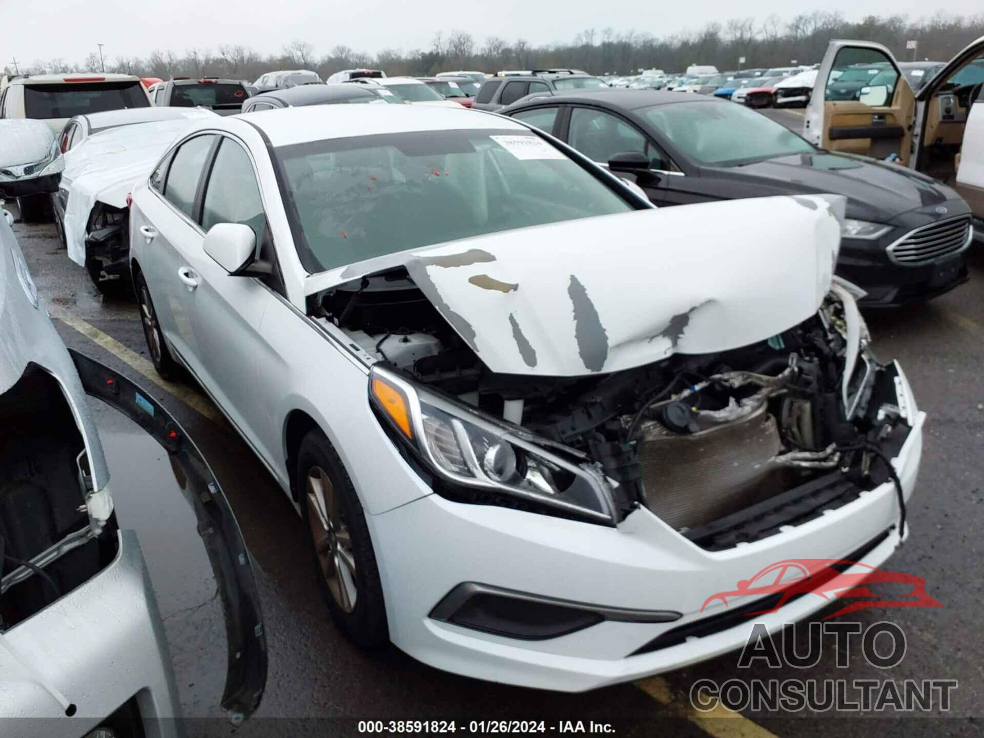 HYUNDAI SONATA 2017 - 5NPE24AF1HH534648
