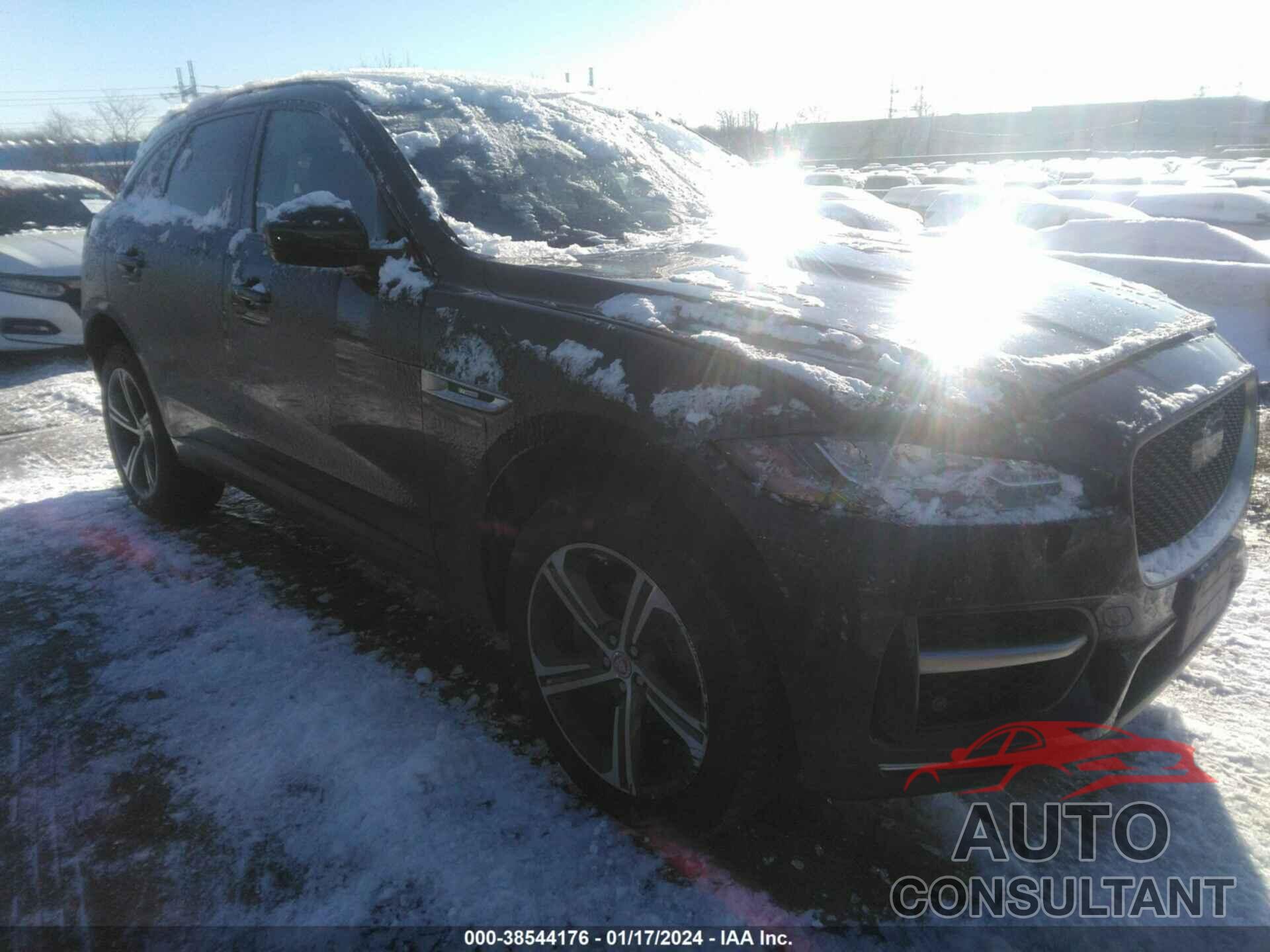 JAGUAR F-PACE 2019 - SADCL2FX4KA391885