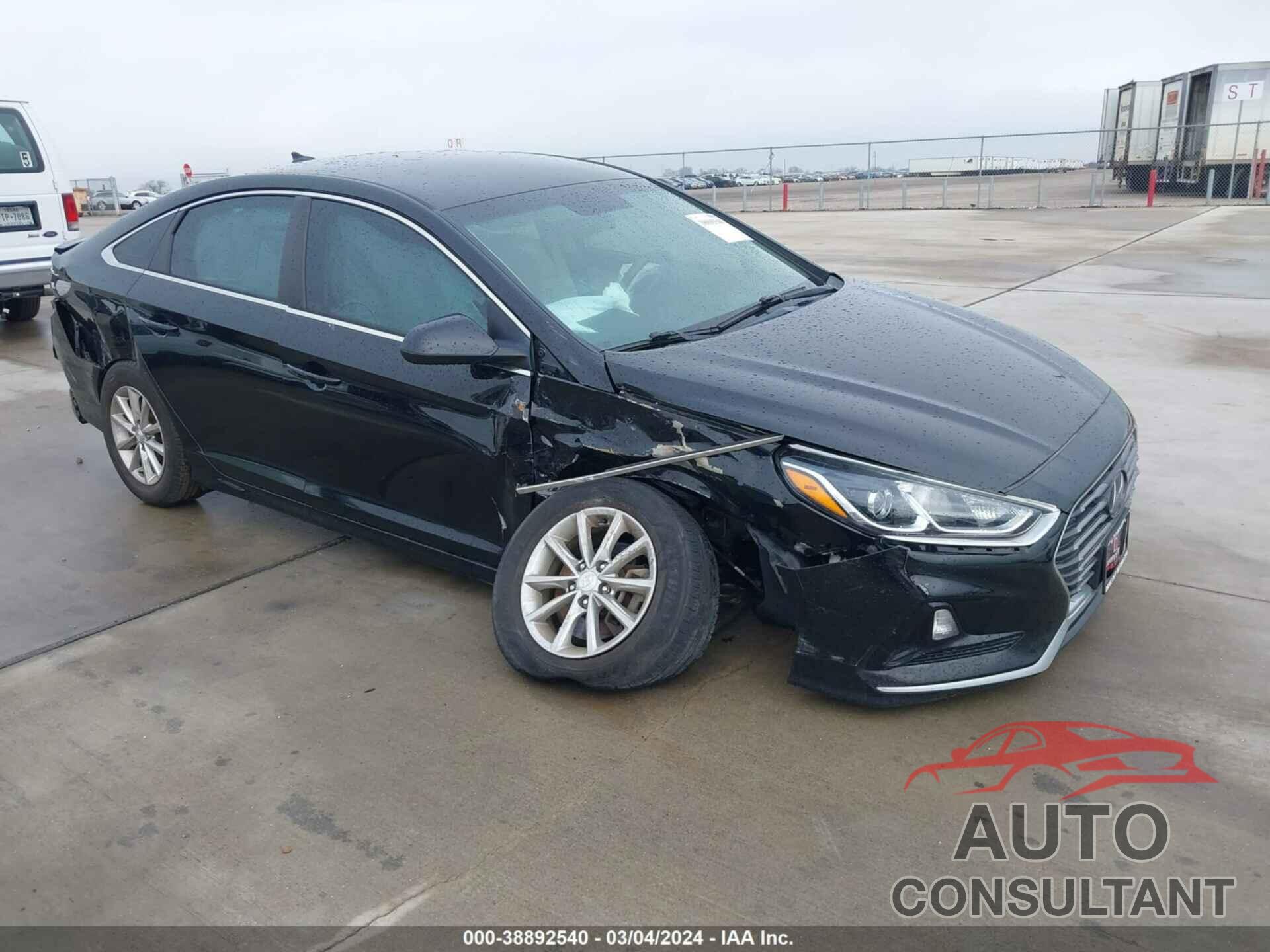 HYUNDAI SONATA 2019 - 5NPE24AF9KH806337