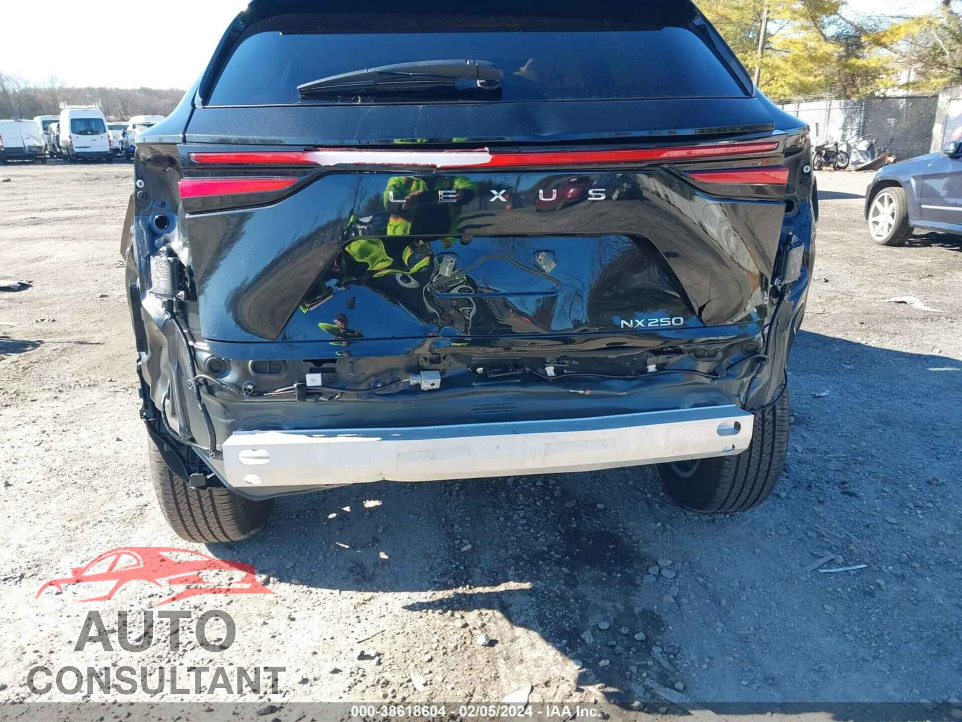 LEXUS NX 250 2024 - 2T2ADCAZ3RC010074