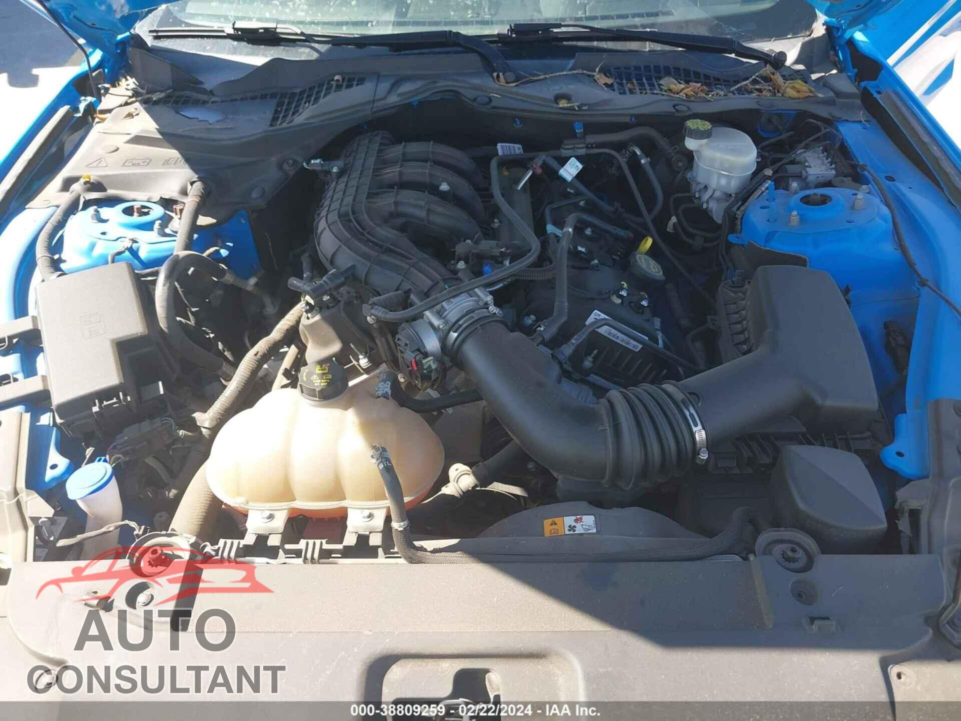 FORD MUSTANG 2017 - 1FA6P8AM2H5344195