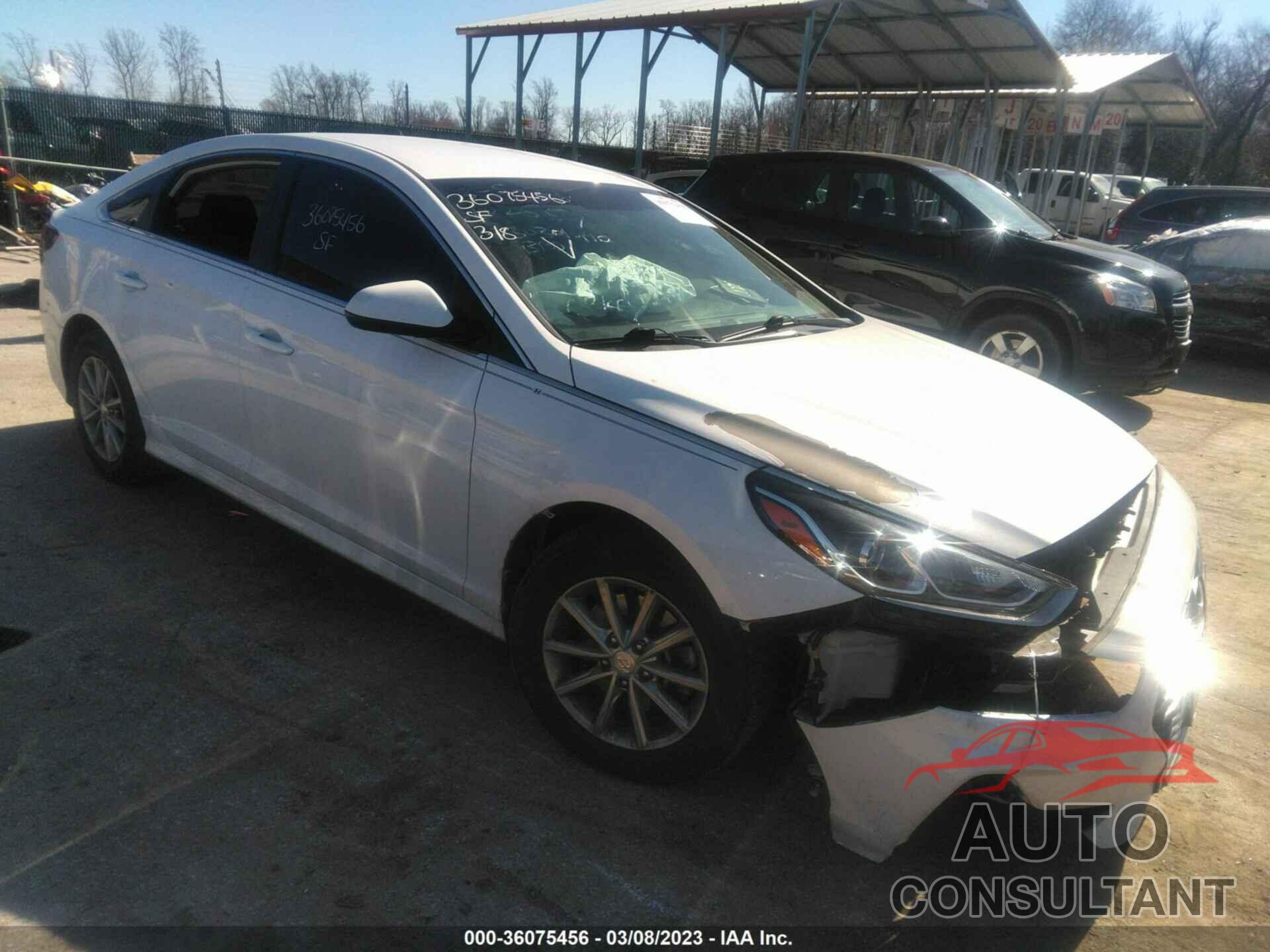 HYUNDAI SONATA 2019 - 5NPE24AF3KH757118