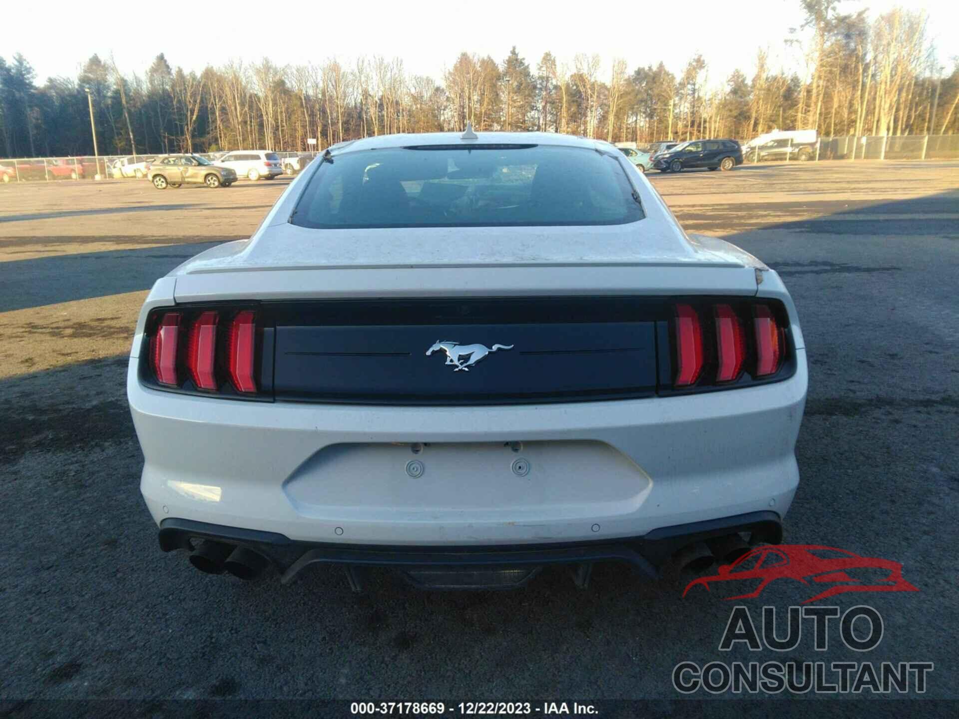 FORD MUSTANG 2021 - 1FA6P8TH6M5149727