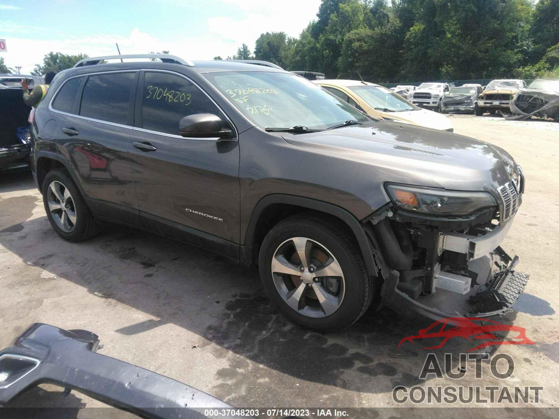 JEEP CHEROKEE 2019 - 1C4PJMDX2KD107055