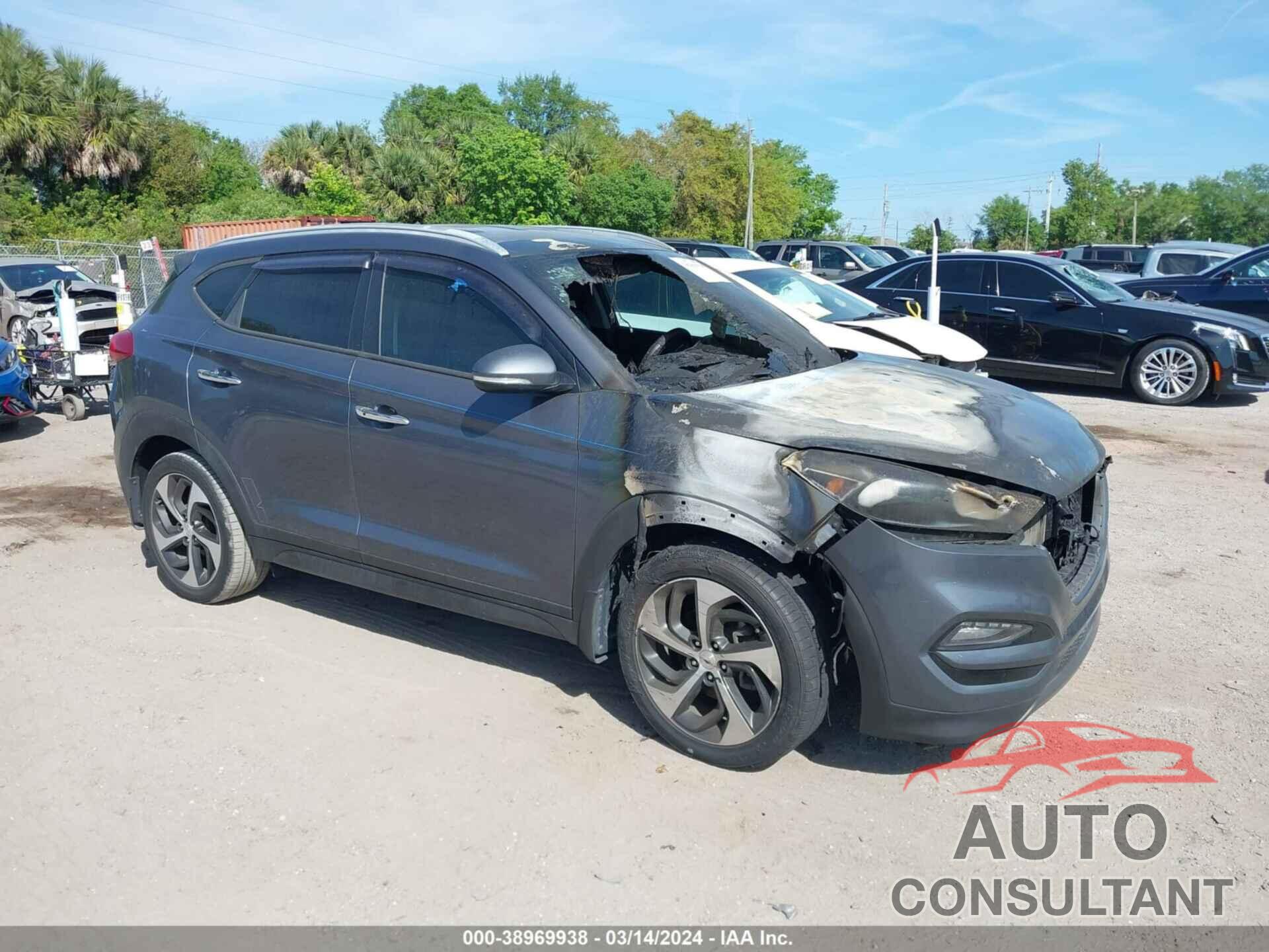 HYUNDAI TUCSON 2016 - KM8J33A28GU024476