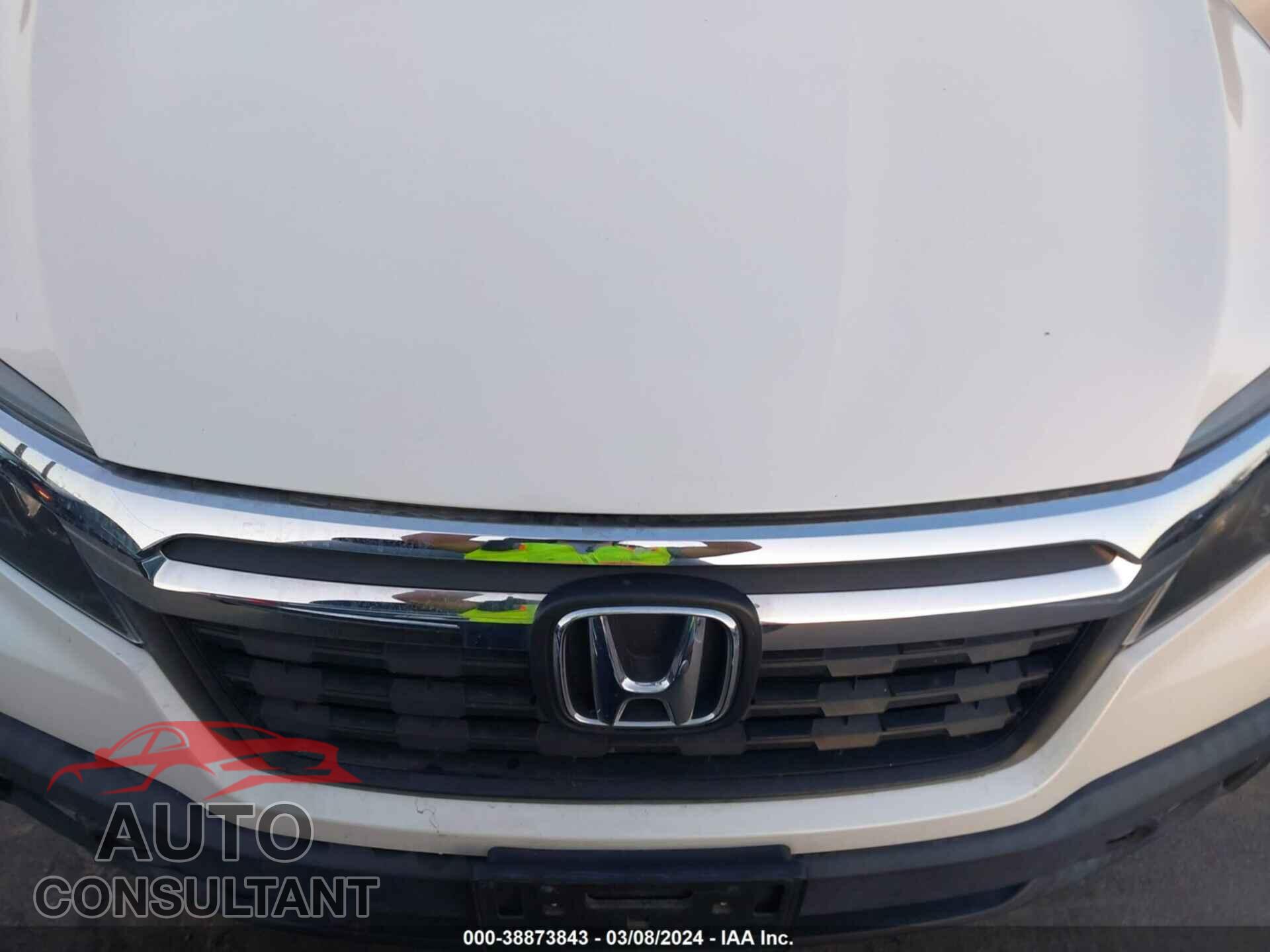 HONDA RIDGELINE 2019 - 5FPYK3F6XKB005471