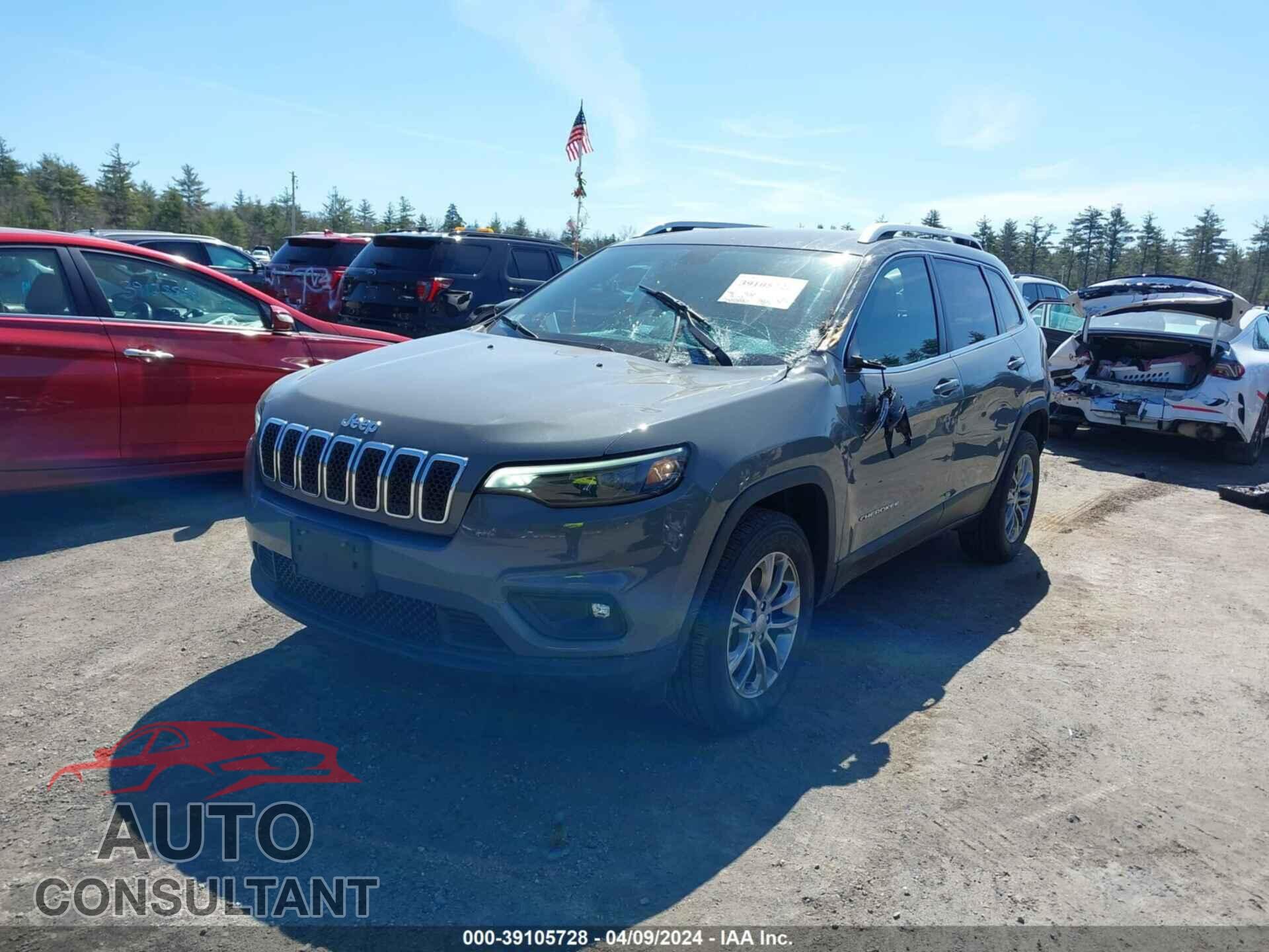 JEEP CHEROKEE 2019 - 1C4PJMLB0KD410535