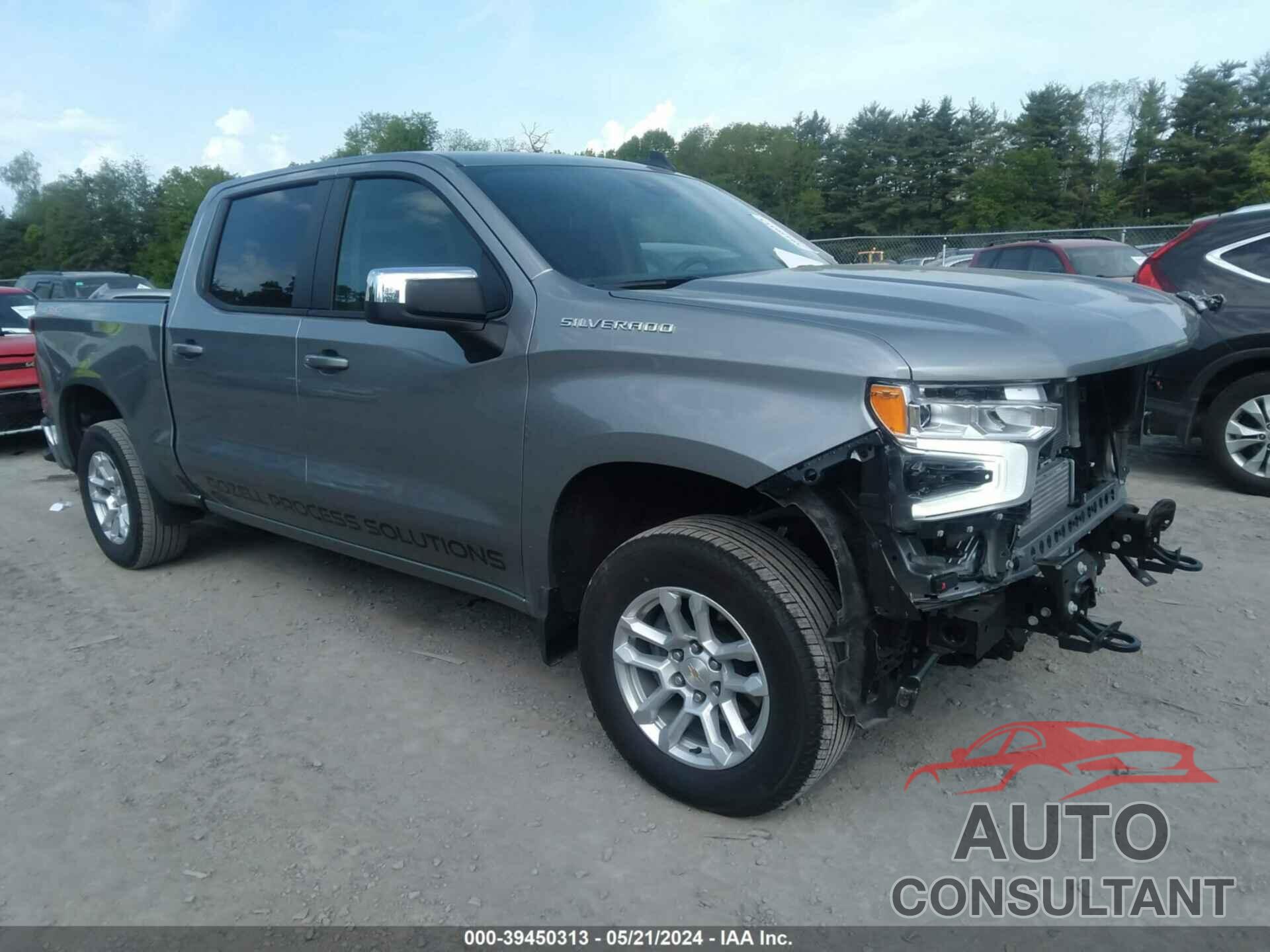 CHEVROLET SILVERADO 1500 2024 - 1GCPDKEK5RZ168475