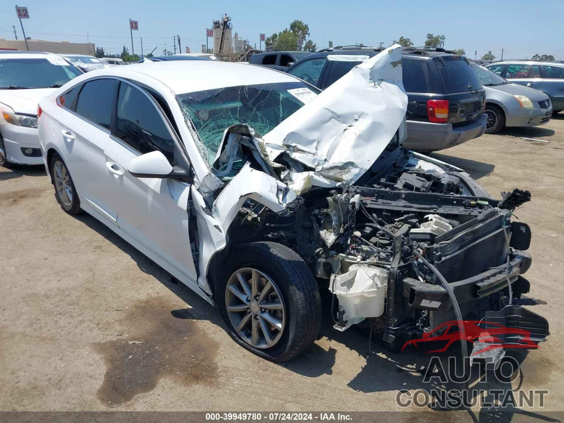 HYUNDAI SONATA 2019 - 5NPE24AF3KH738066