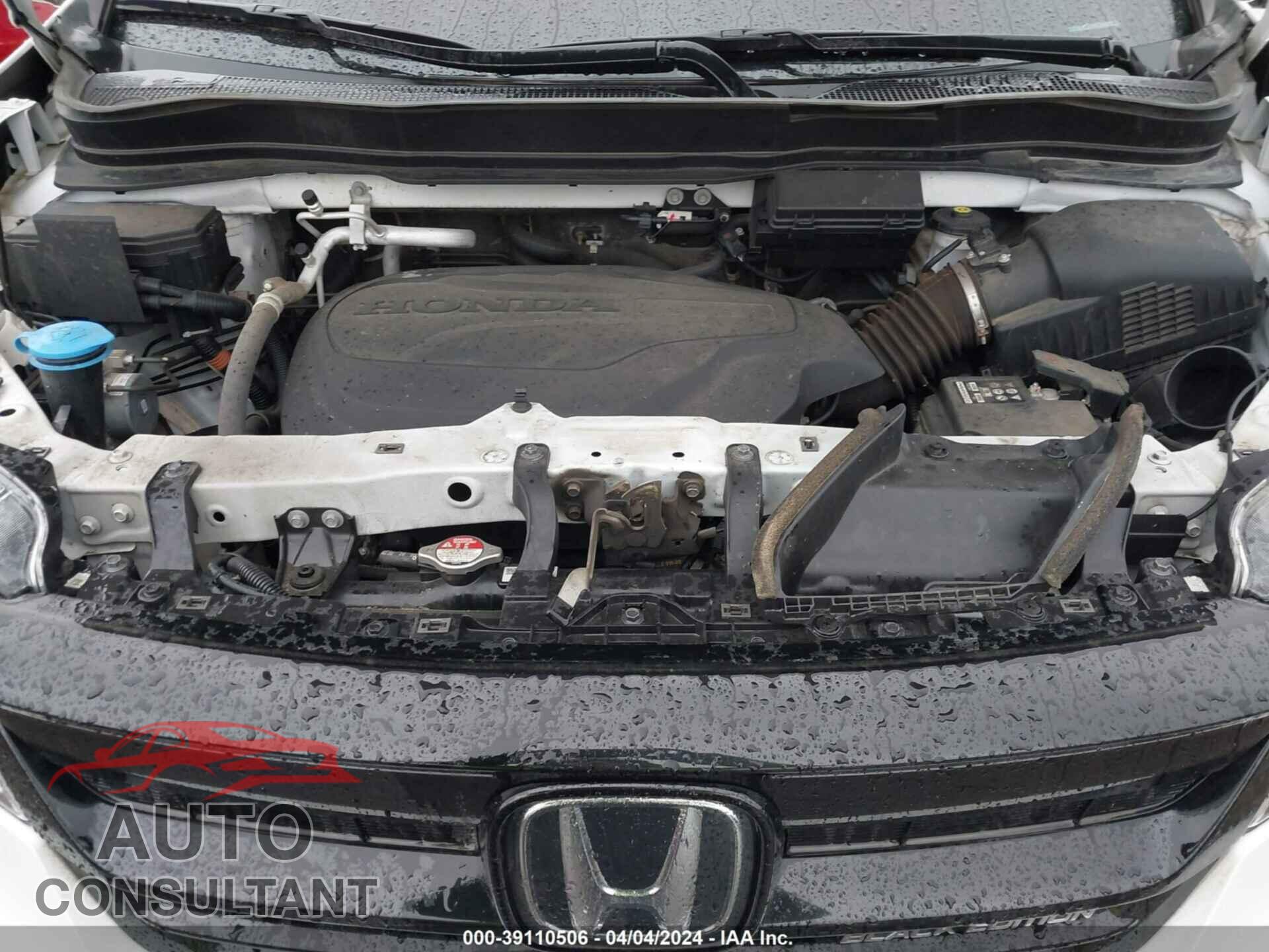 HONDA PILOT 2021 - 5FNYF6H06MB503614