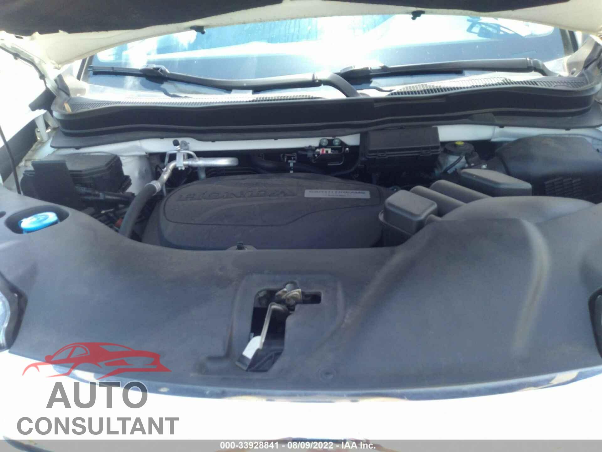 HONDA PILOT 2019 - 5FNYF6H30KB062005