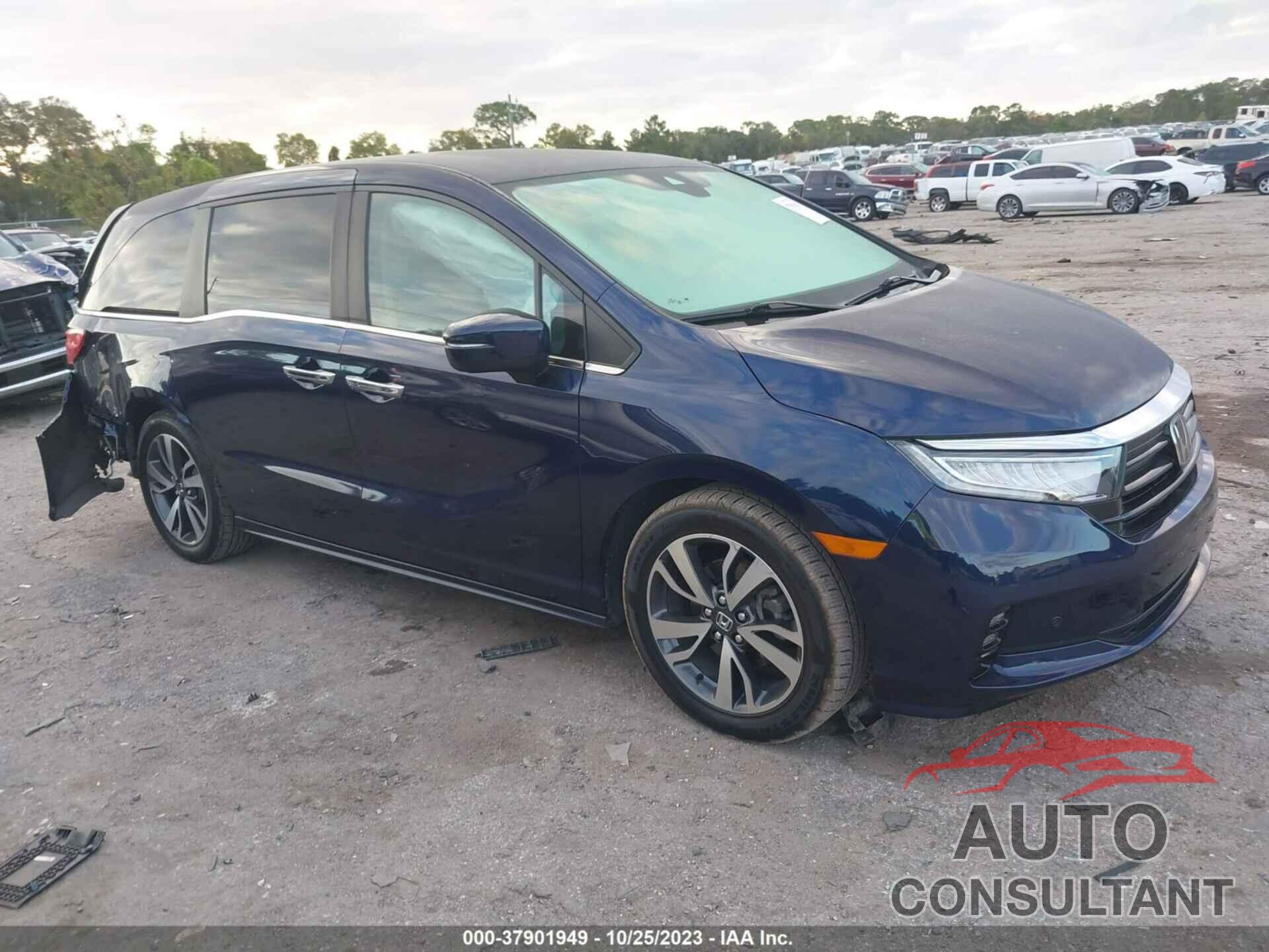 HONDA ODYSSEY 2021 - 5FNRL6H86MB011619