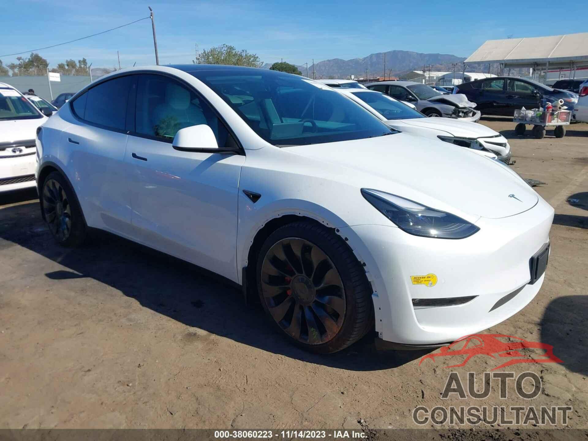 TESLA MODEL Y 2022 - 7SAYGDEF9NF398498