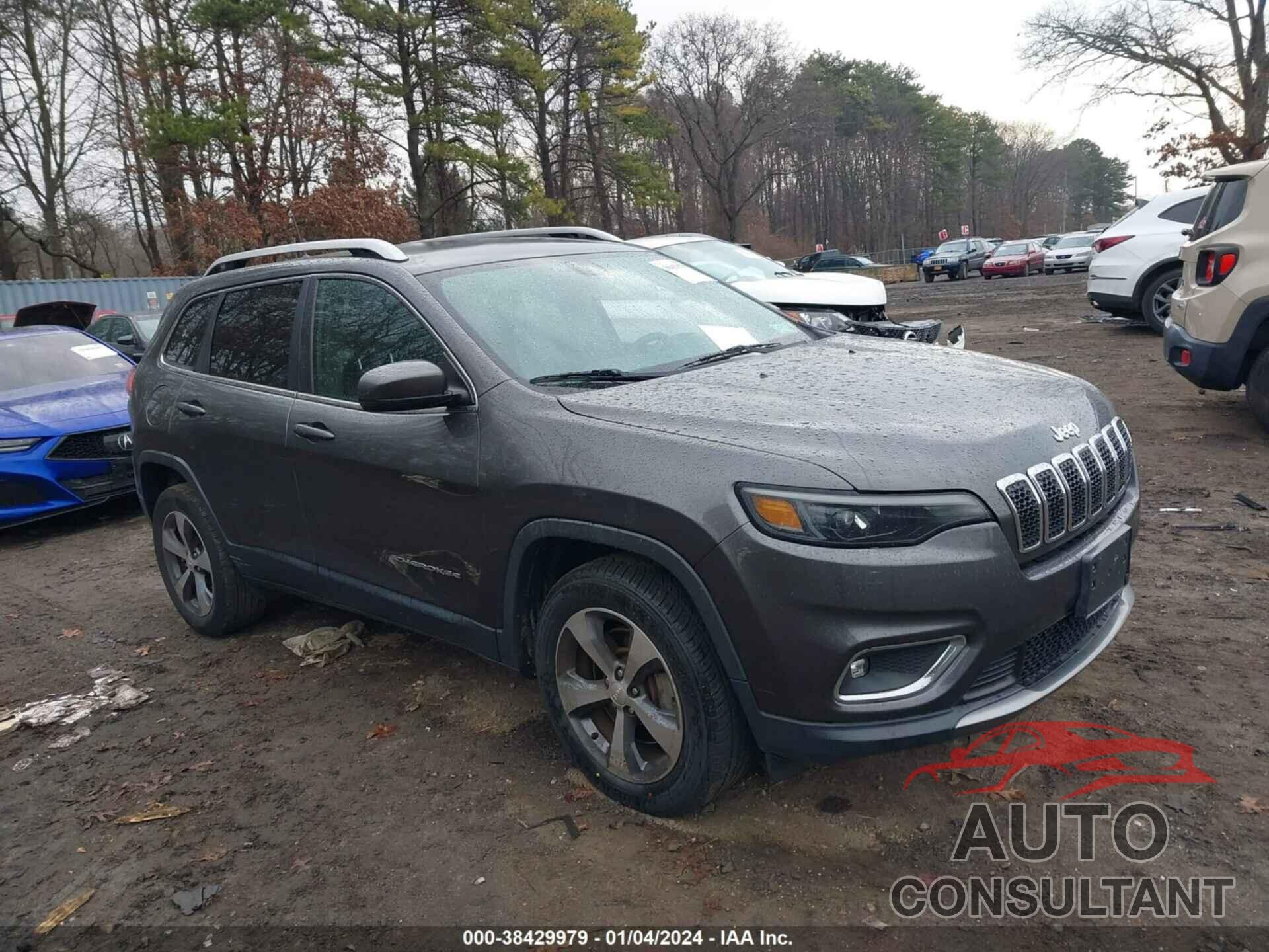 JEEP CHEROKEE 2019 - 1C4PJMDX5KD227755