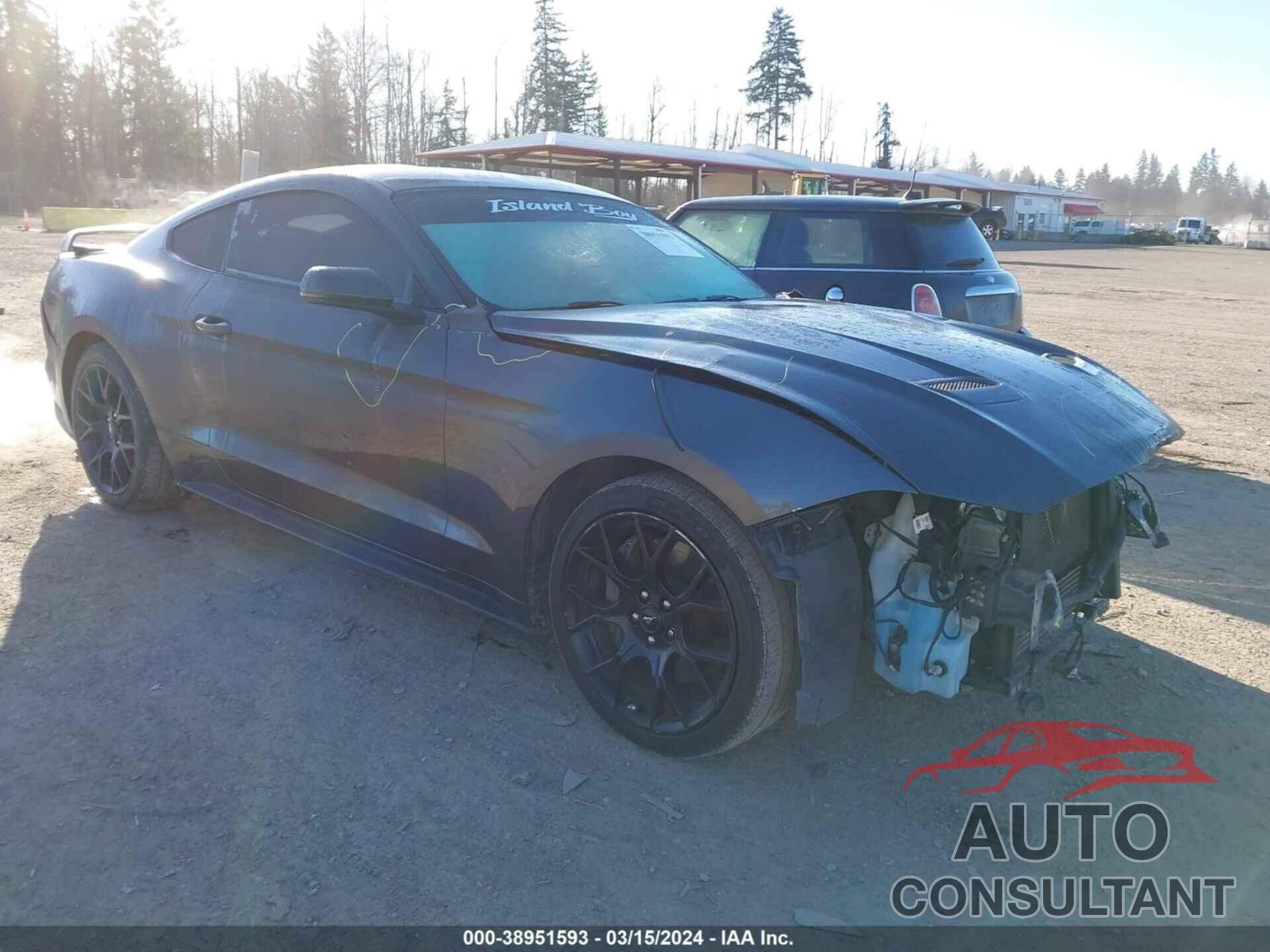 FORD MUSTANG 2019 - 1FA6P8TH7K5119343