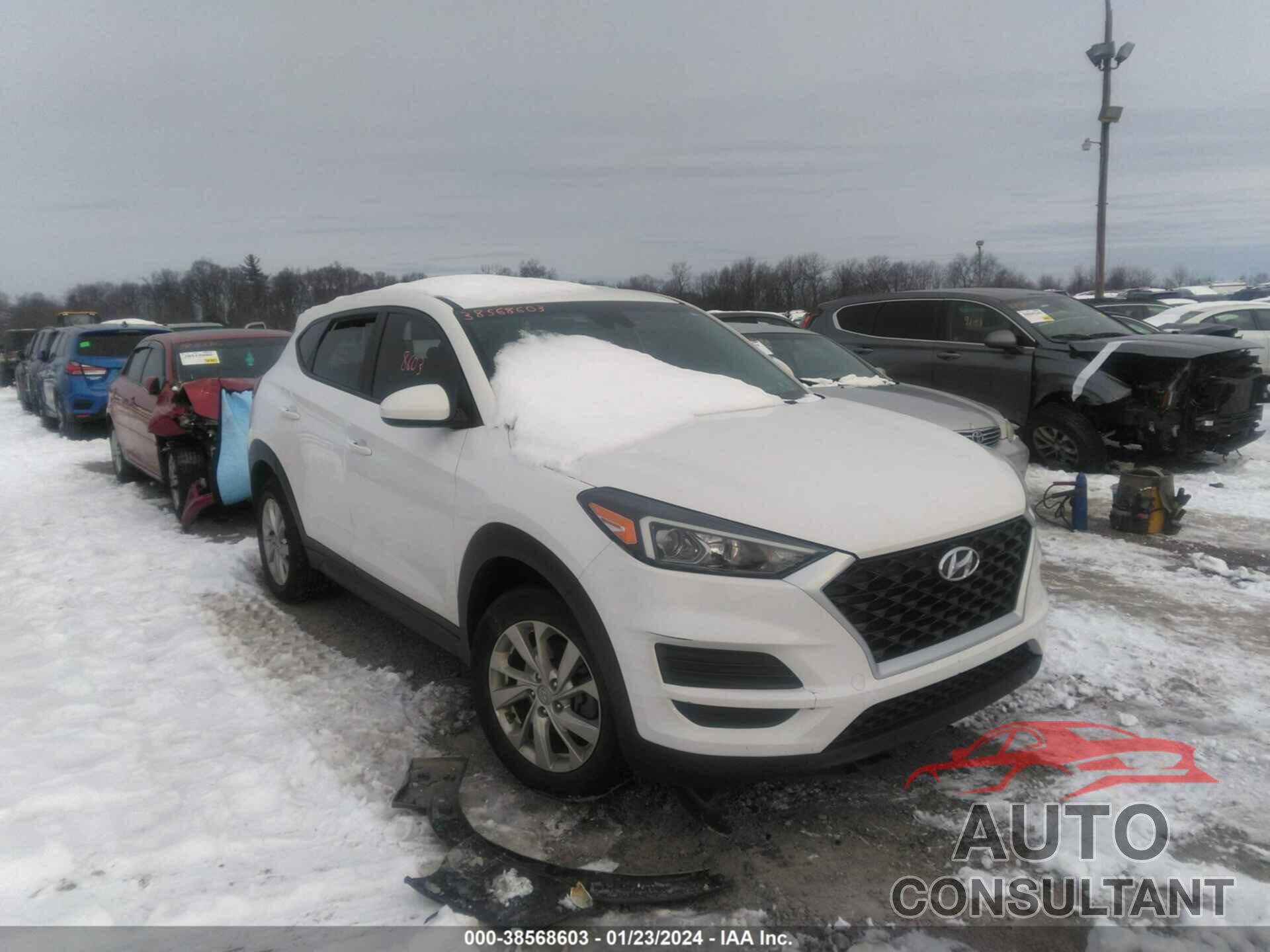 HYUNDAI TUCSON 2019 - KM8J2CA48KU849964