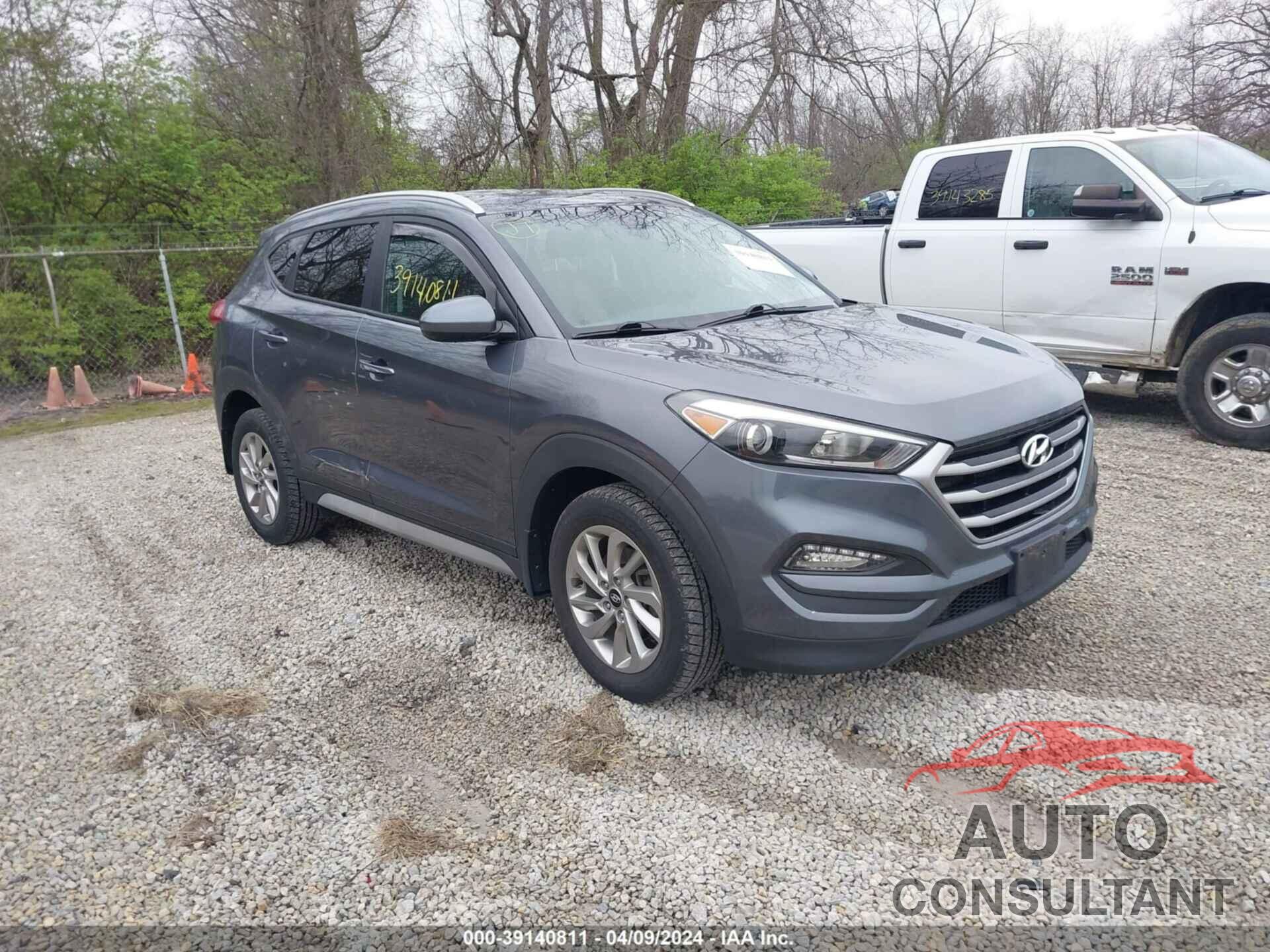 HYUNDAI TUCSON 2017 - KM8J33A42HU550217