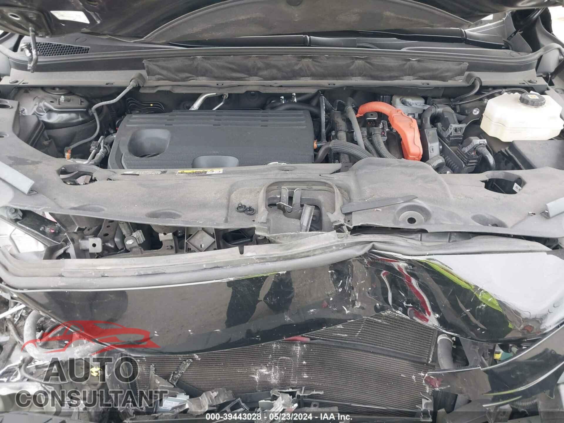 LEXUS RX 2023 - 2T2BBMCA8PC010012