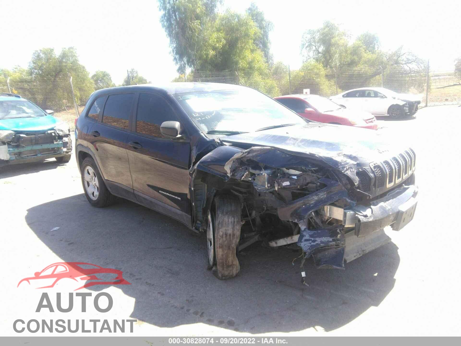 JEEP CHEROKEE 2014 - 1C4PJMAB4EW233726