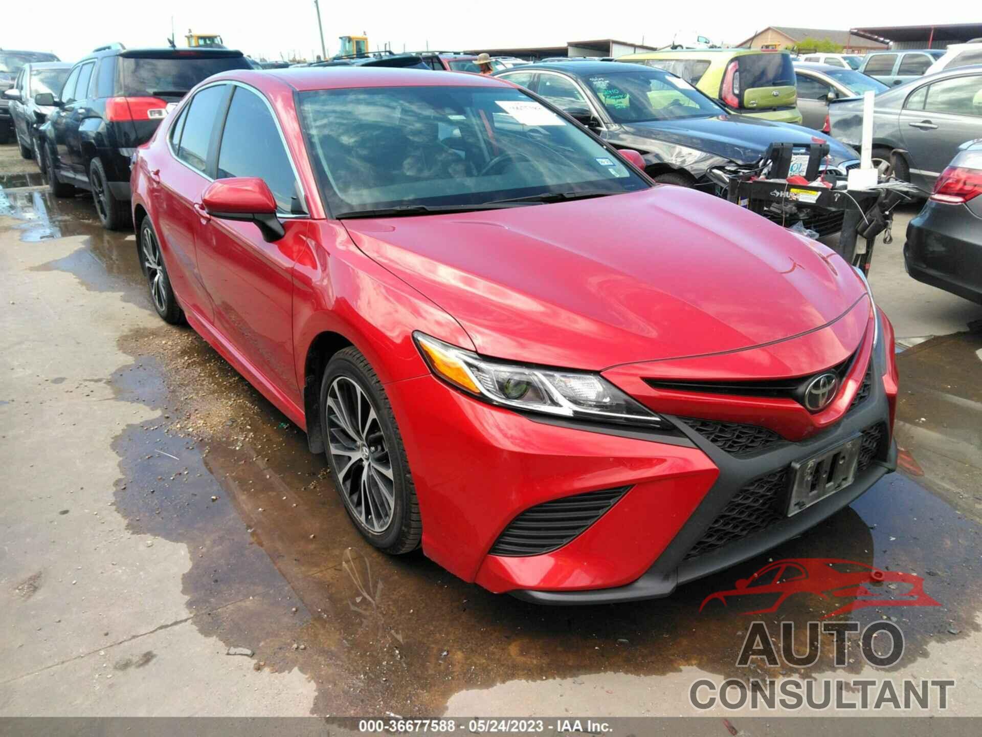 TOYOTA CAMRY 2019 - 4T1B11HK1KU217954