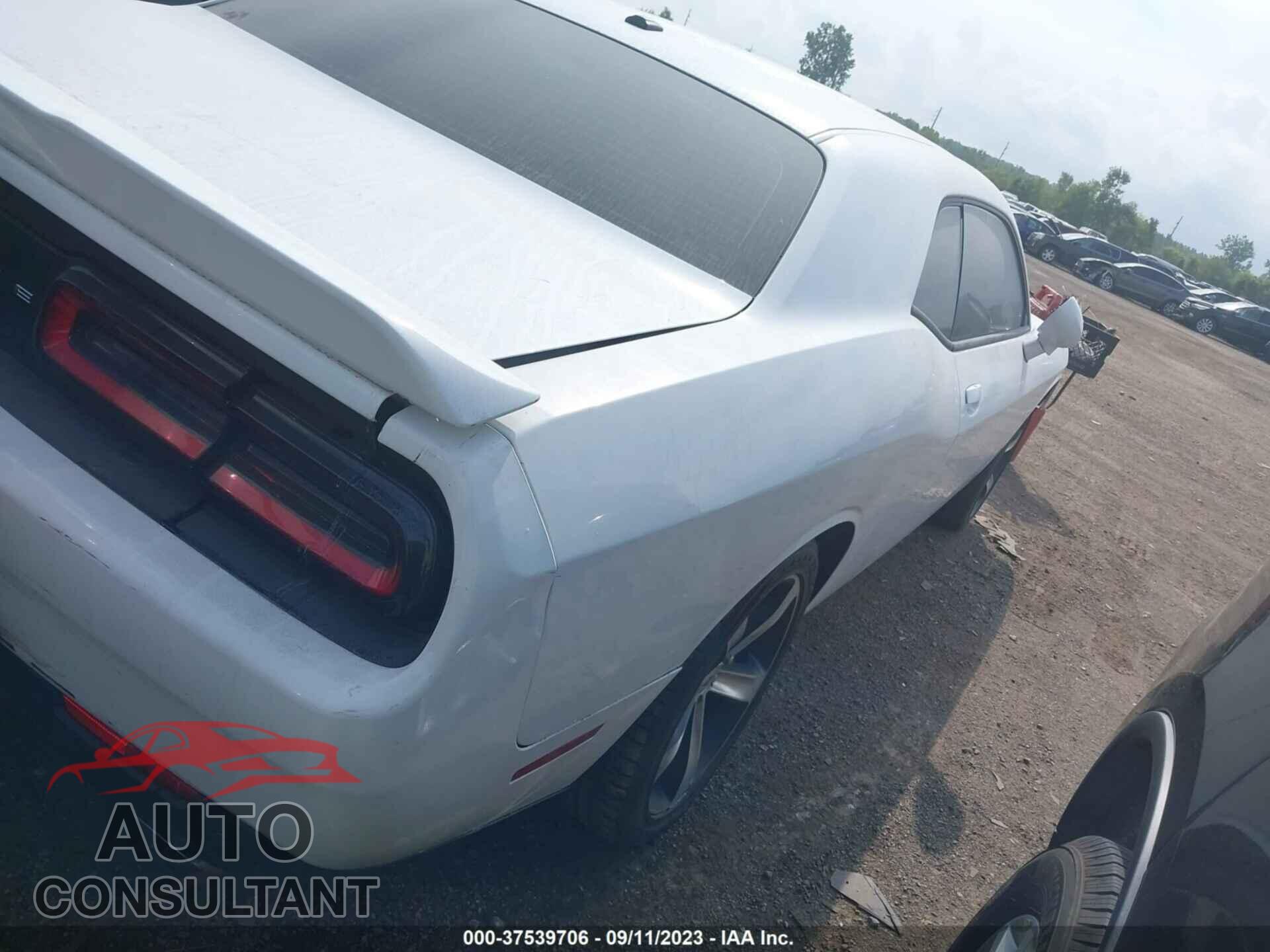 DODGE CHALLENGER 2019 - 2C3CDZBTXKH641401