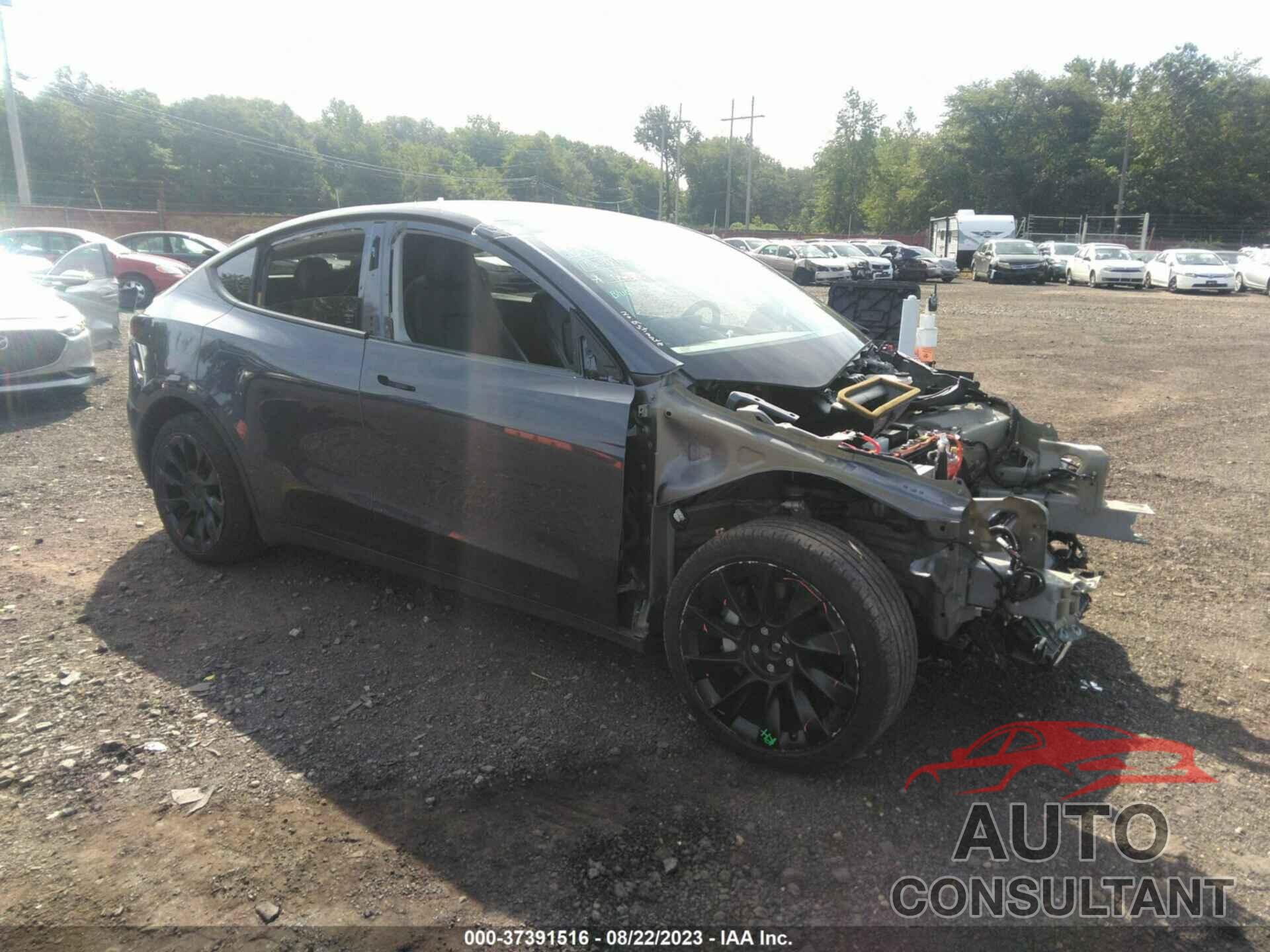 TESLA MODEL Y 2021 - 5YJYGDEE8MF111929