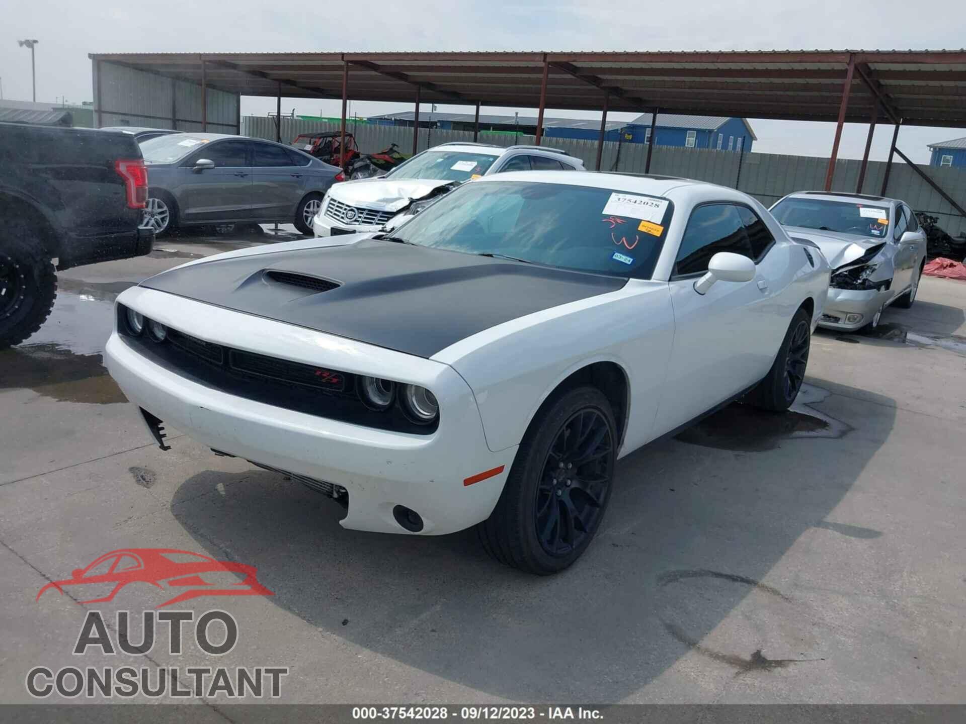 DODGE CHALLENGER 2019 - 2C3CDZBT4KH651793