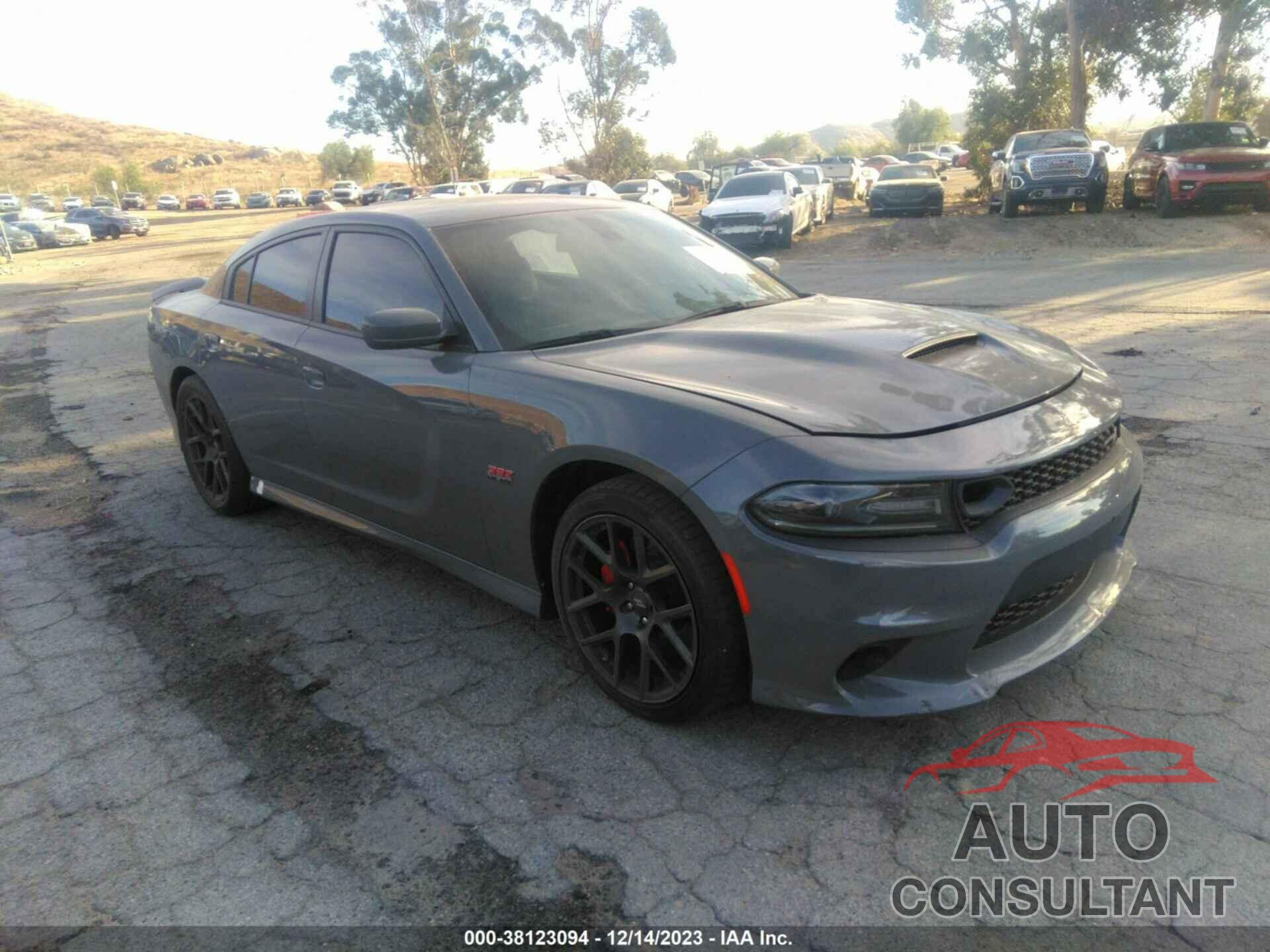 DODGE CHARGER 2019 - 2C3CDXGJ9KH553757