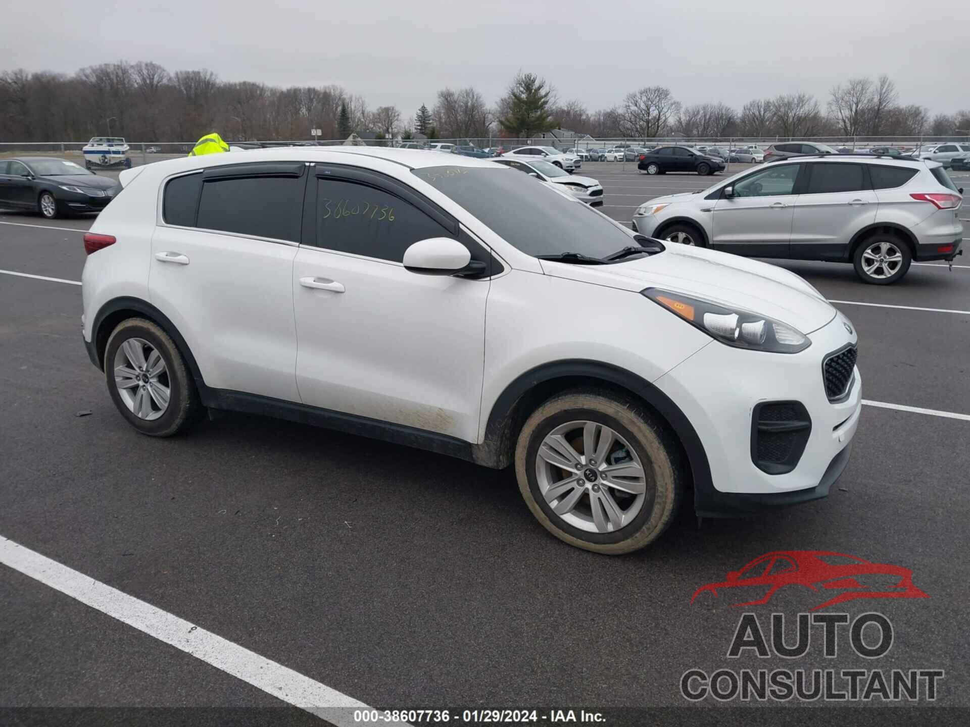 KIA SPORTAGE 2019 - KNDPM3AC9K7516820