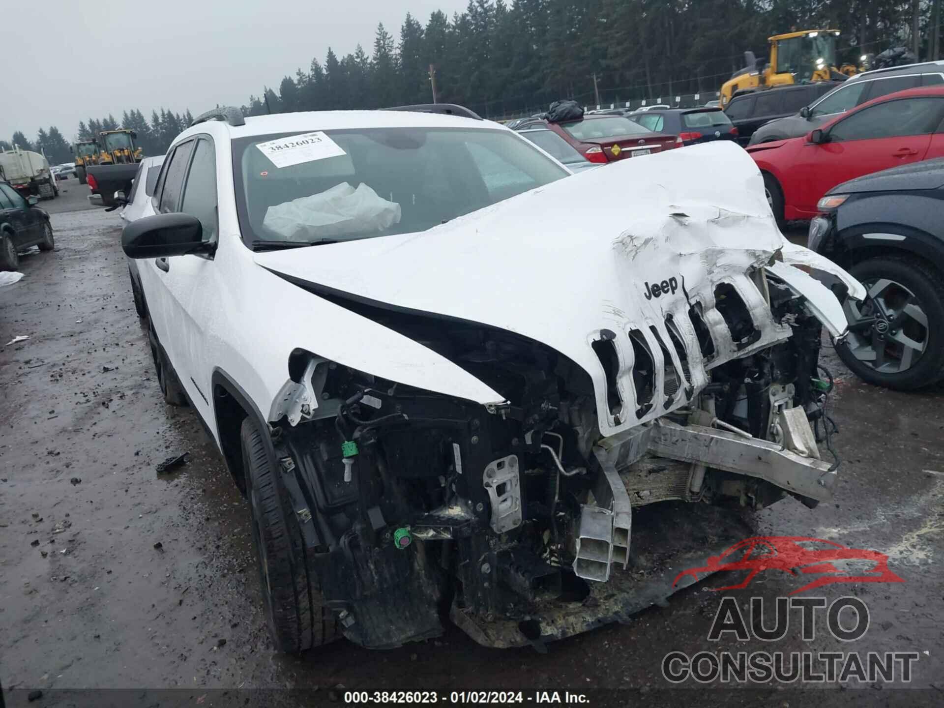 JEEP CHEROKEE 2017 - 1C4PJLAB1HD225013