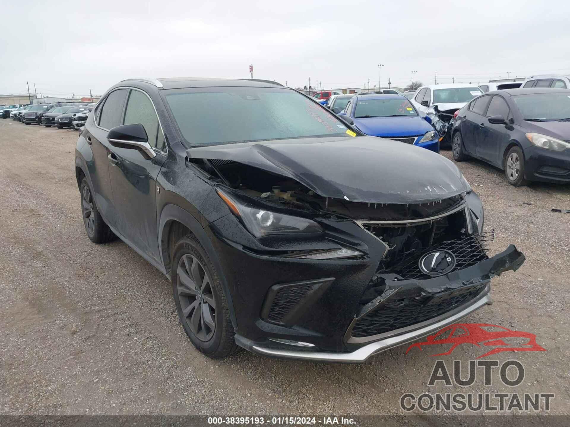 LEXUS NX 2019 - JTJYARBZ6K2129316