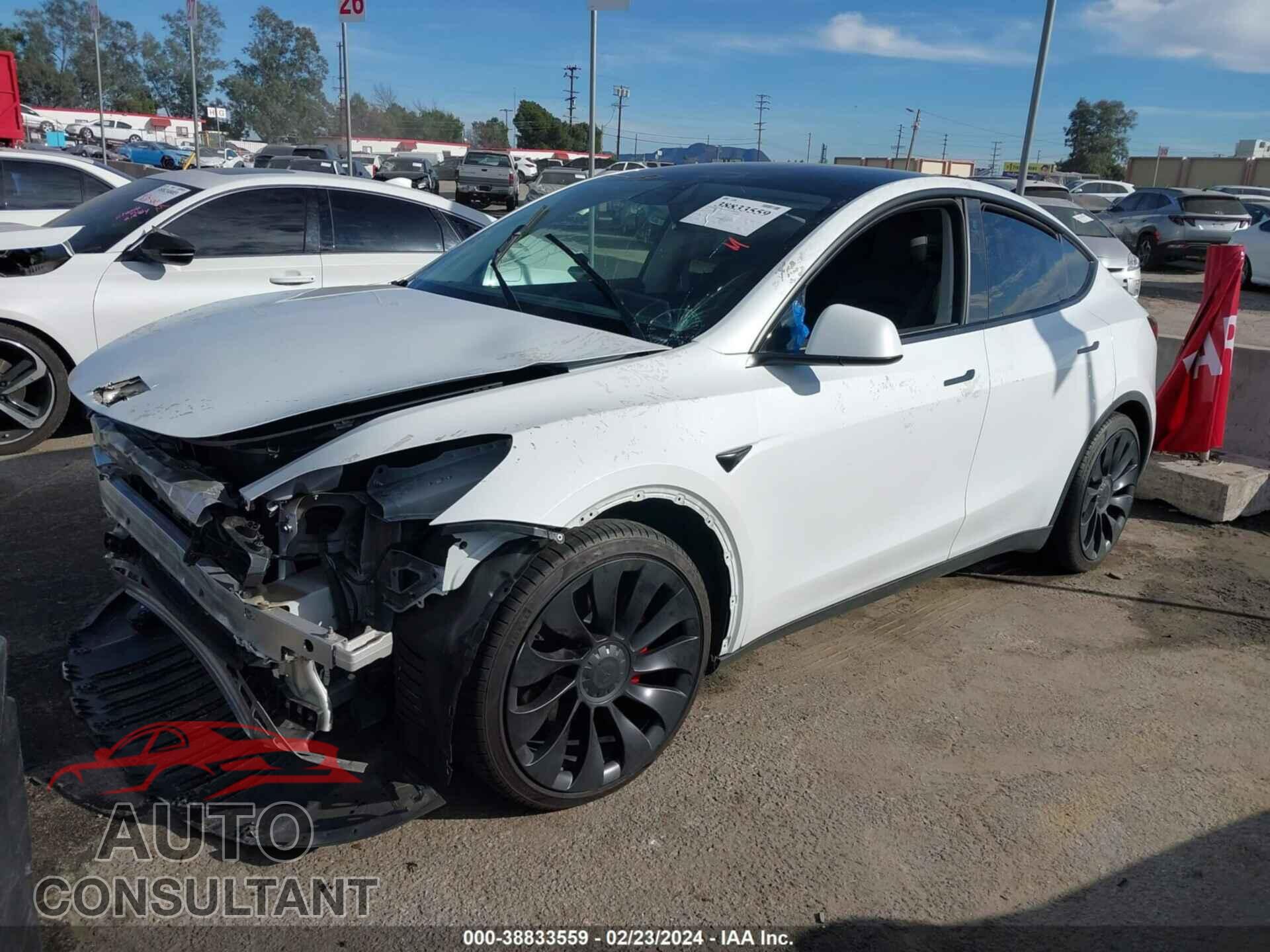 TESLA MODEL Y 2022 - 7SAYGDEF2NF451638