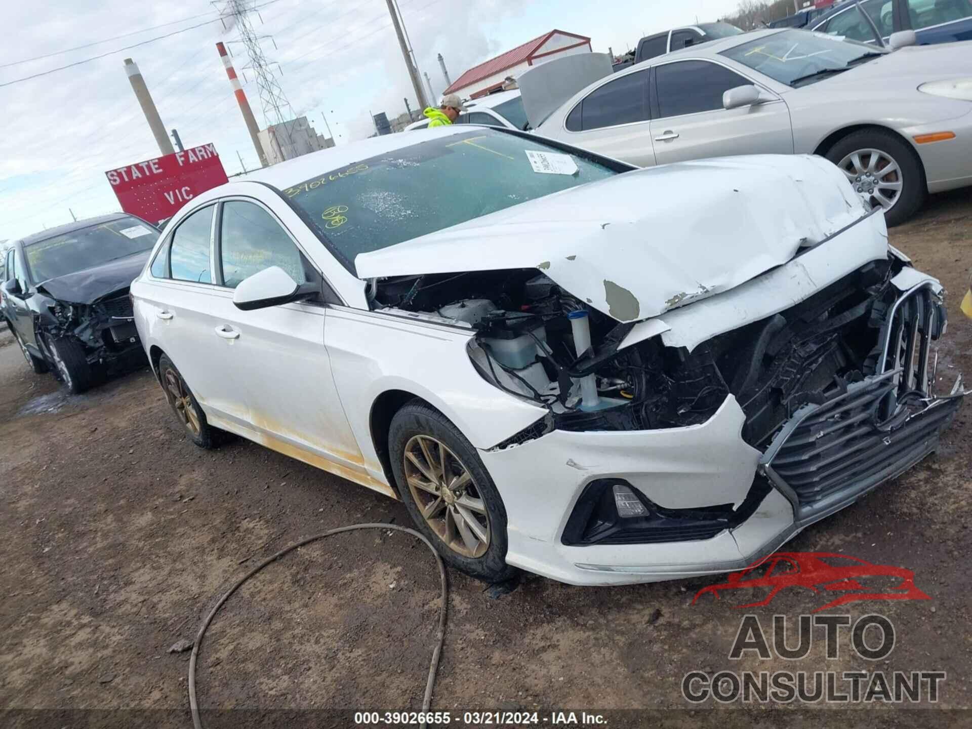 HYUNDAI SONATA 2019 - 5NPE24AF9KH761593