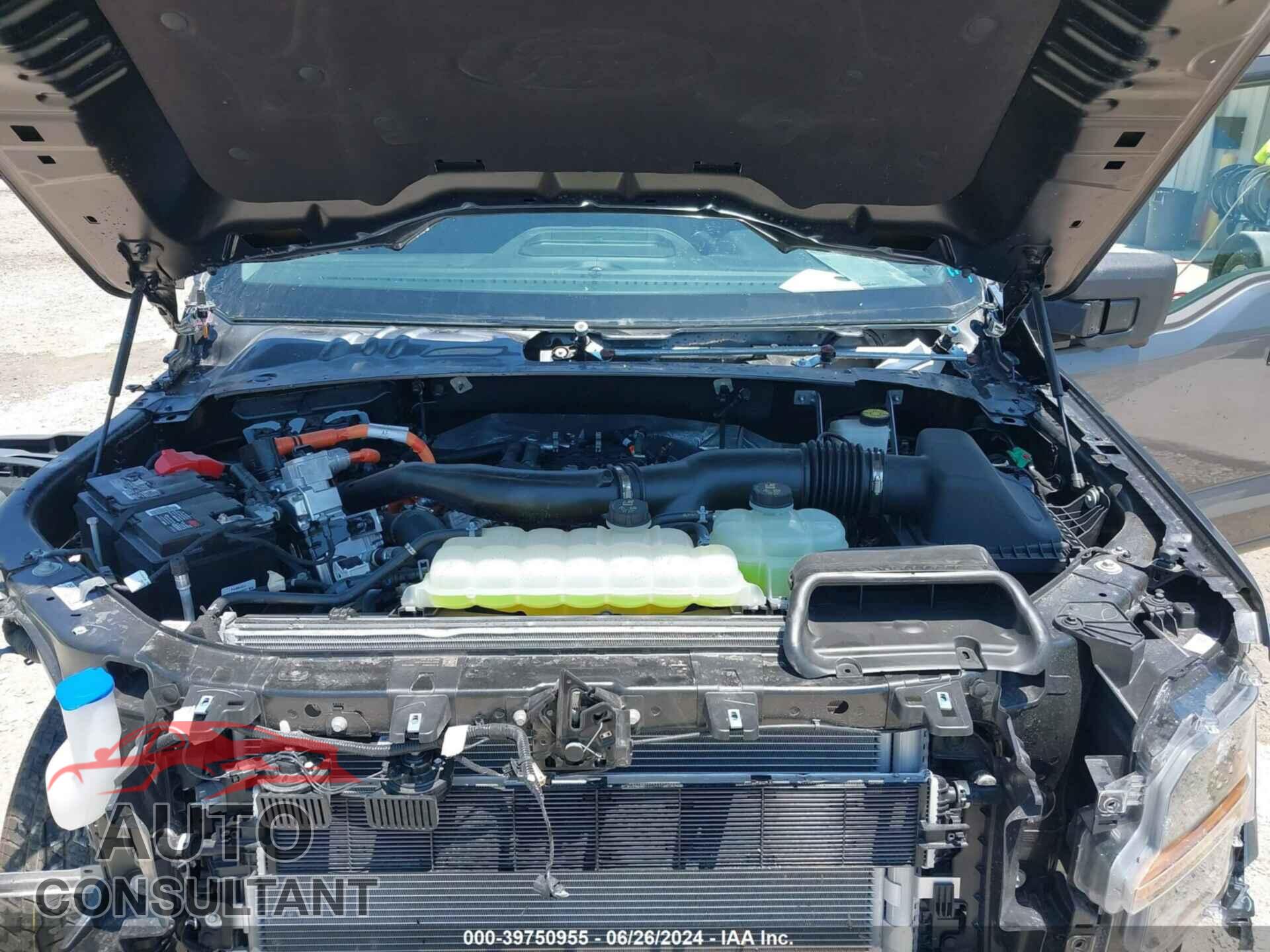 FORD F-150 2024 - 1FTFW3LD6RFA27433