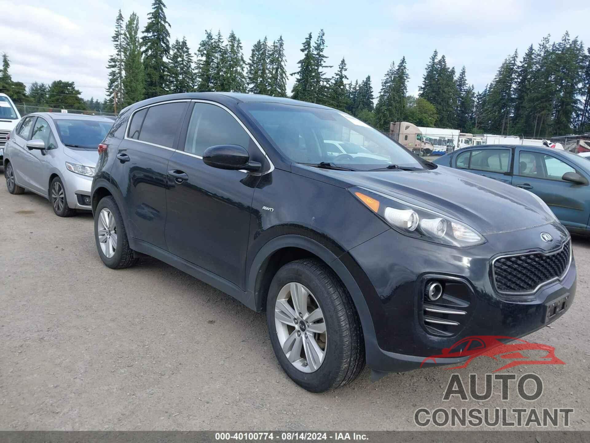 KIA SPORTAGE 2017 - KNDPMCAC3H7066526