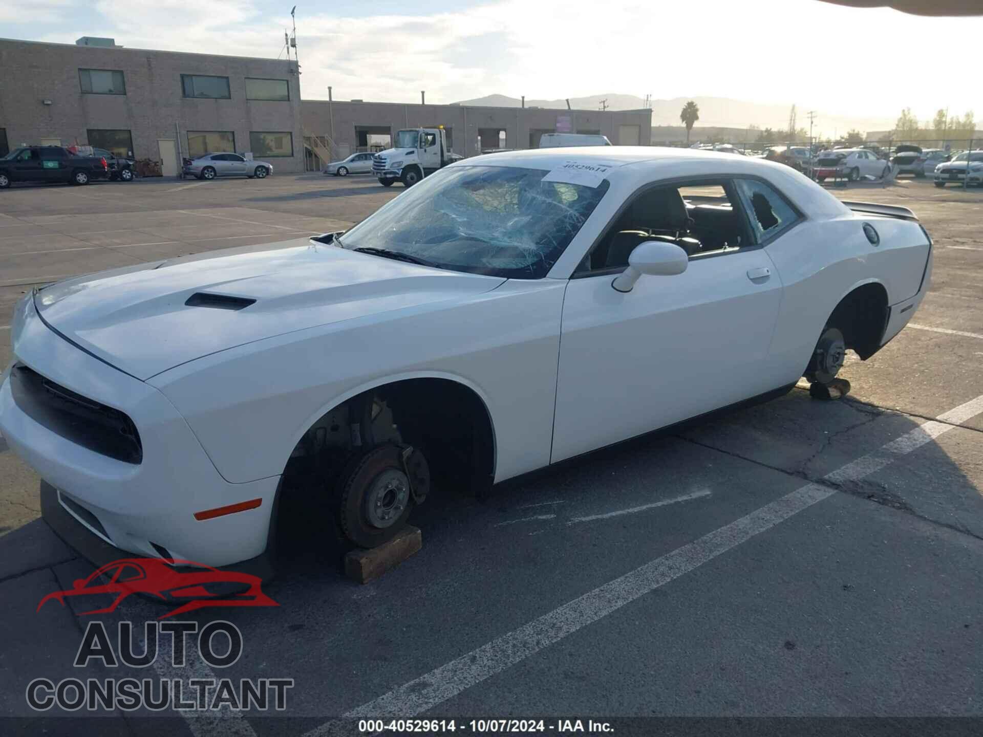 DODGE CHALLENGER 2019 - 2C3CDZAG7KH574938