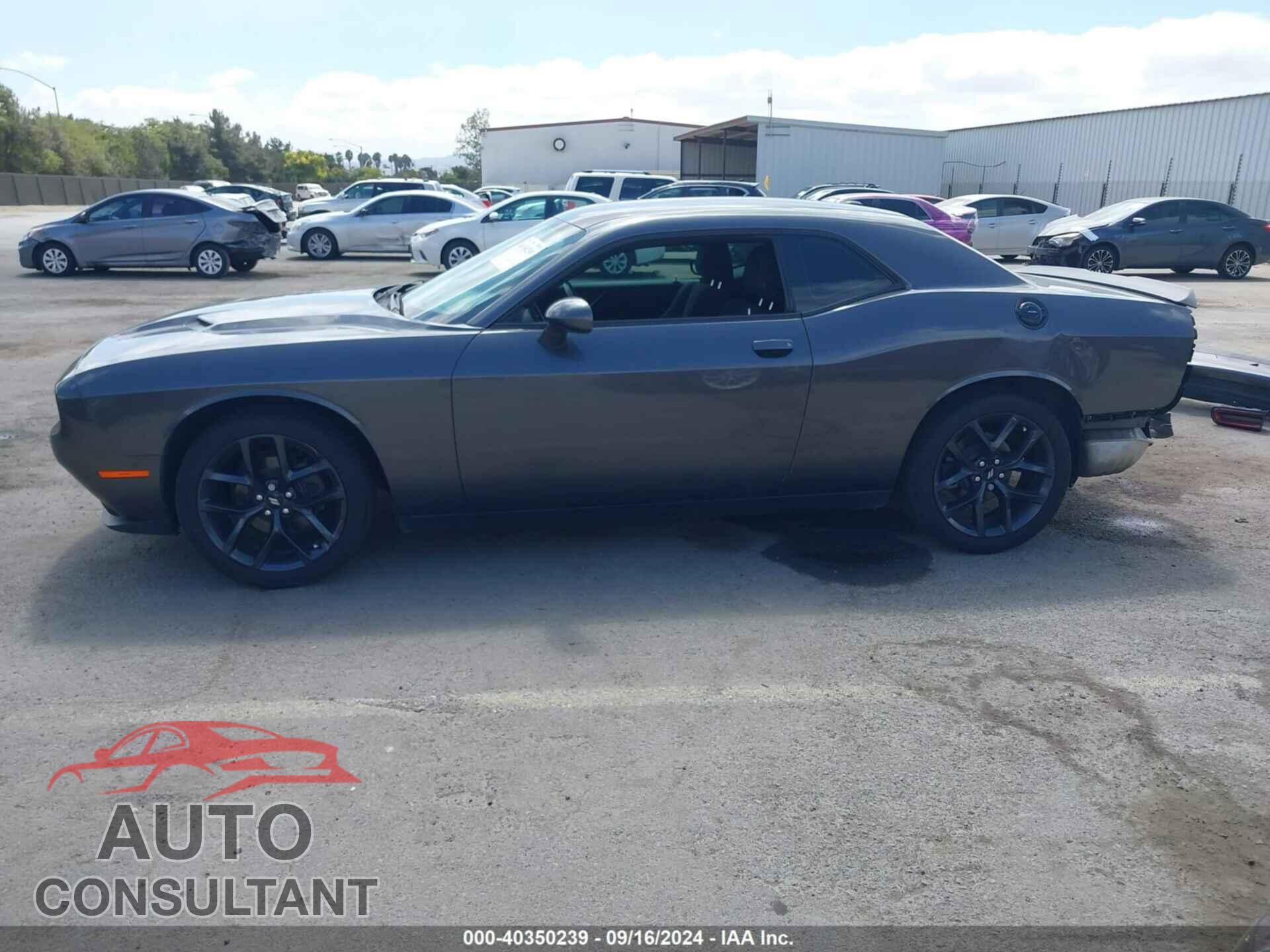 DODGE CHALLENGER 2019 - 2C3CDZAG2KH551454