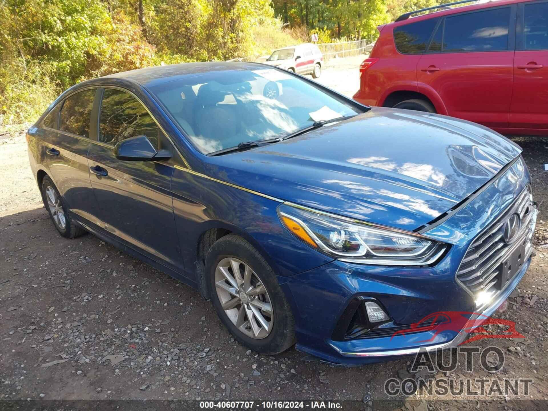 HYUNDAI SONATA 2019 - 5NPE24AF6KH806781