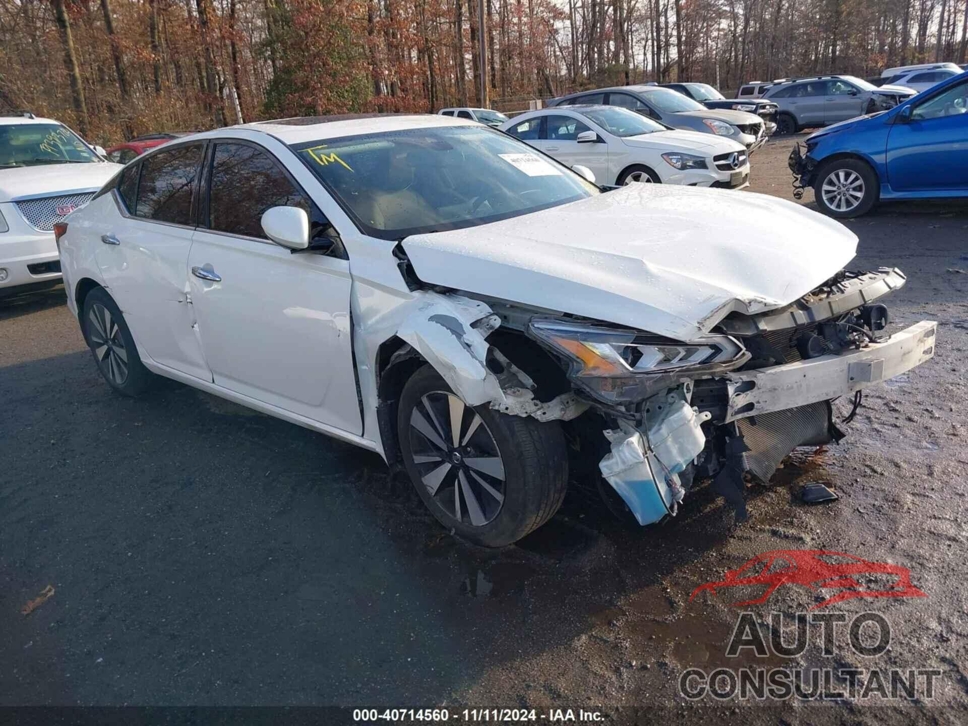 NISSAN ALTIMA 2019 - 1N4BL4DV0KC139159