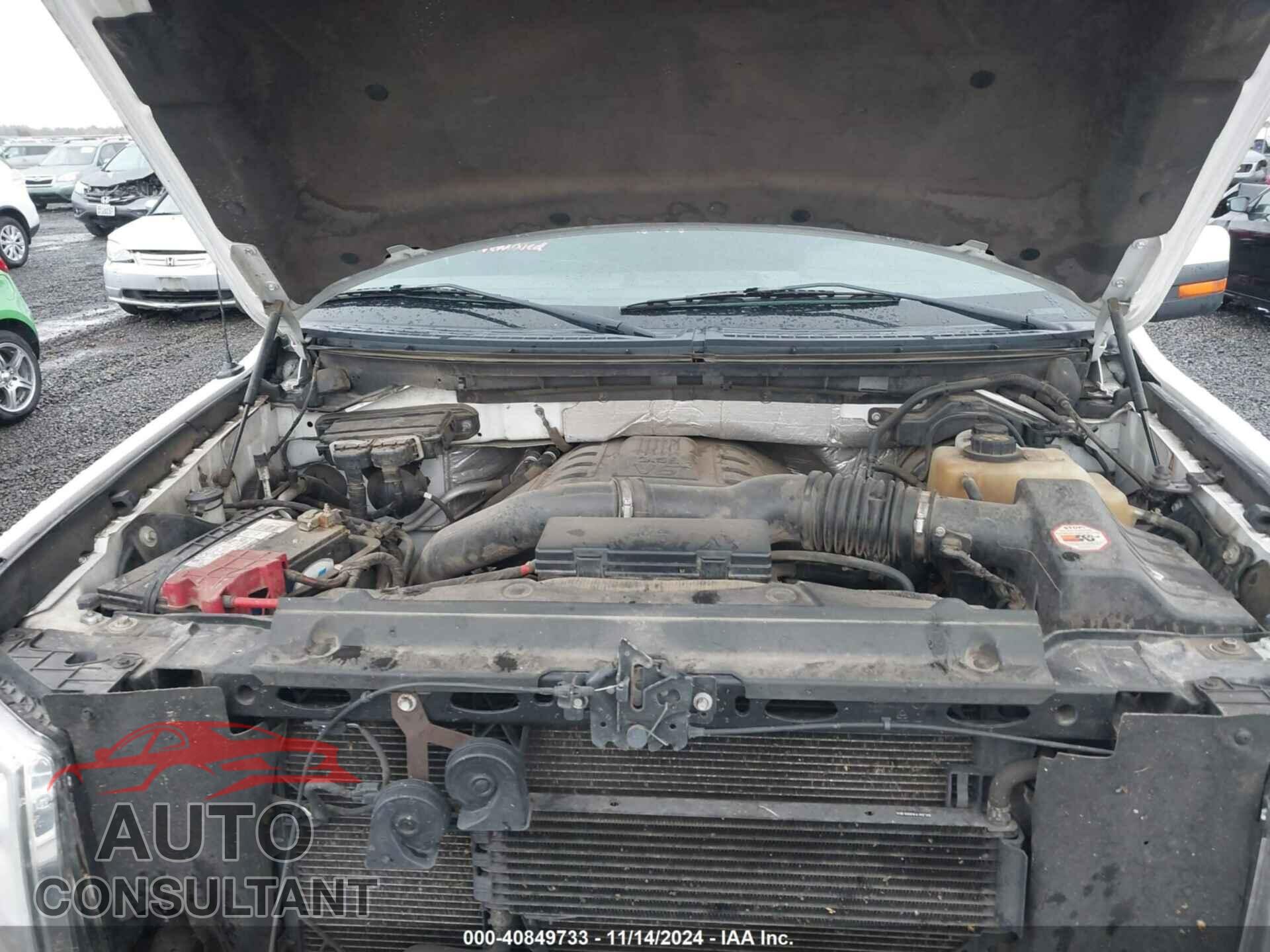 FORD F-150 2011 - 1FTFW1ET0BFC60531