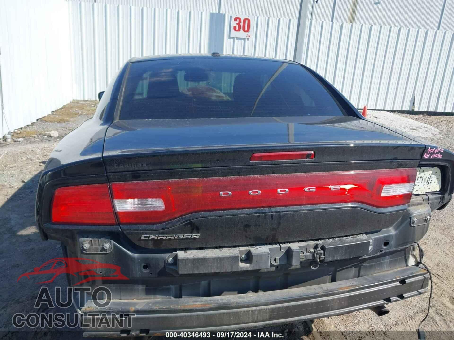 DODGE CHARGER 2014 - 2C3CDXBG1EH177359