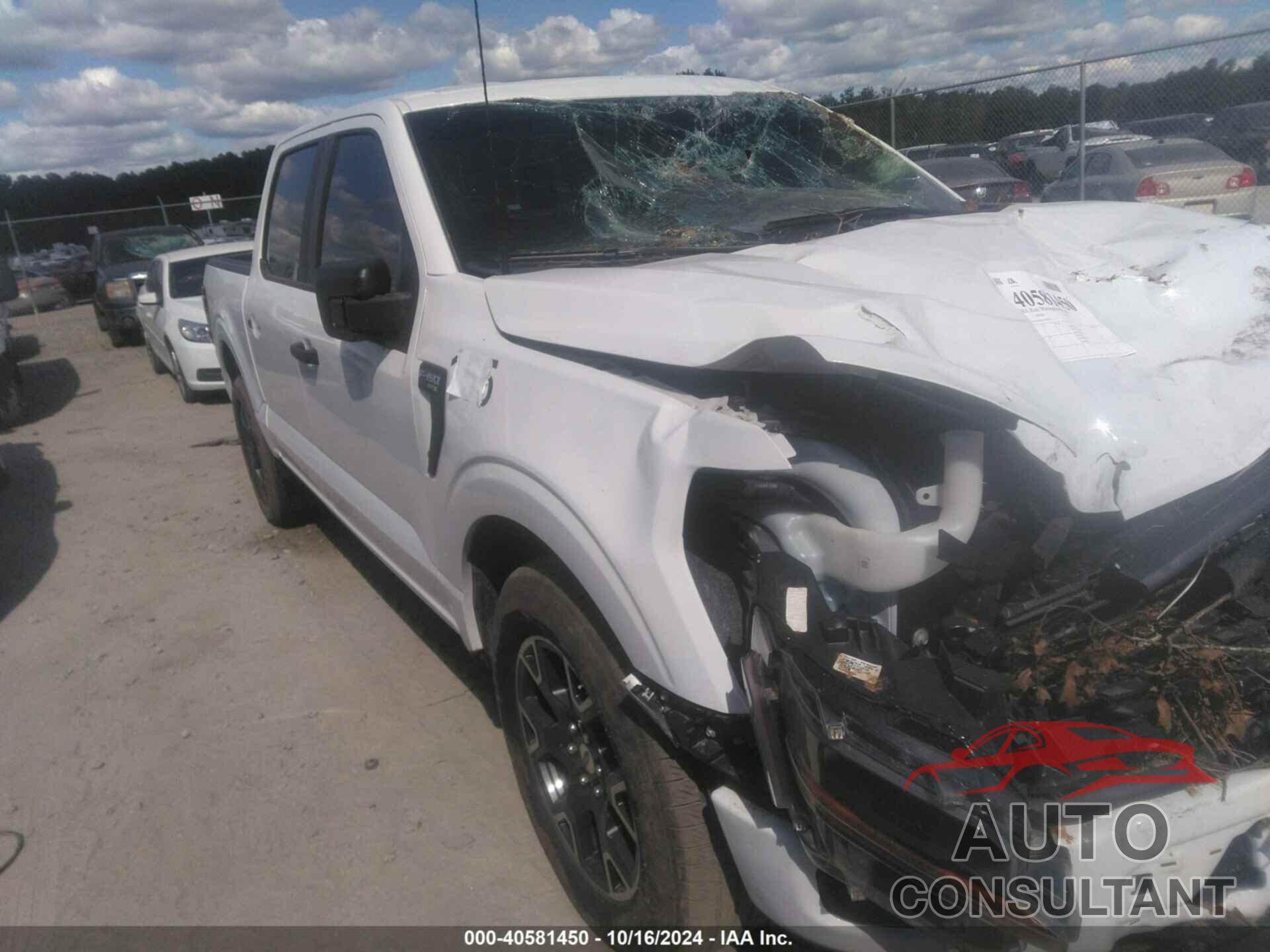 FORD F-150 2024 - 1FTEW2KP8RFA28150