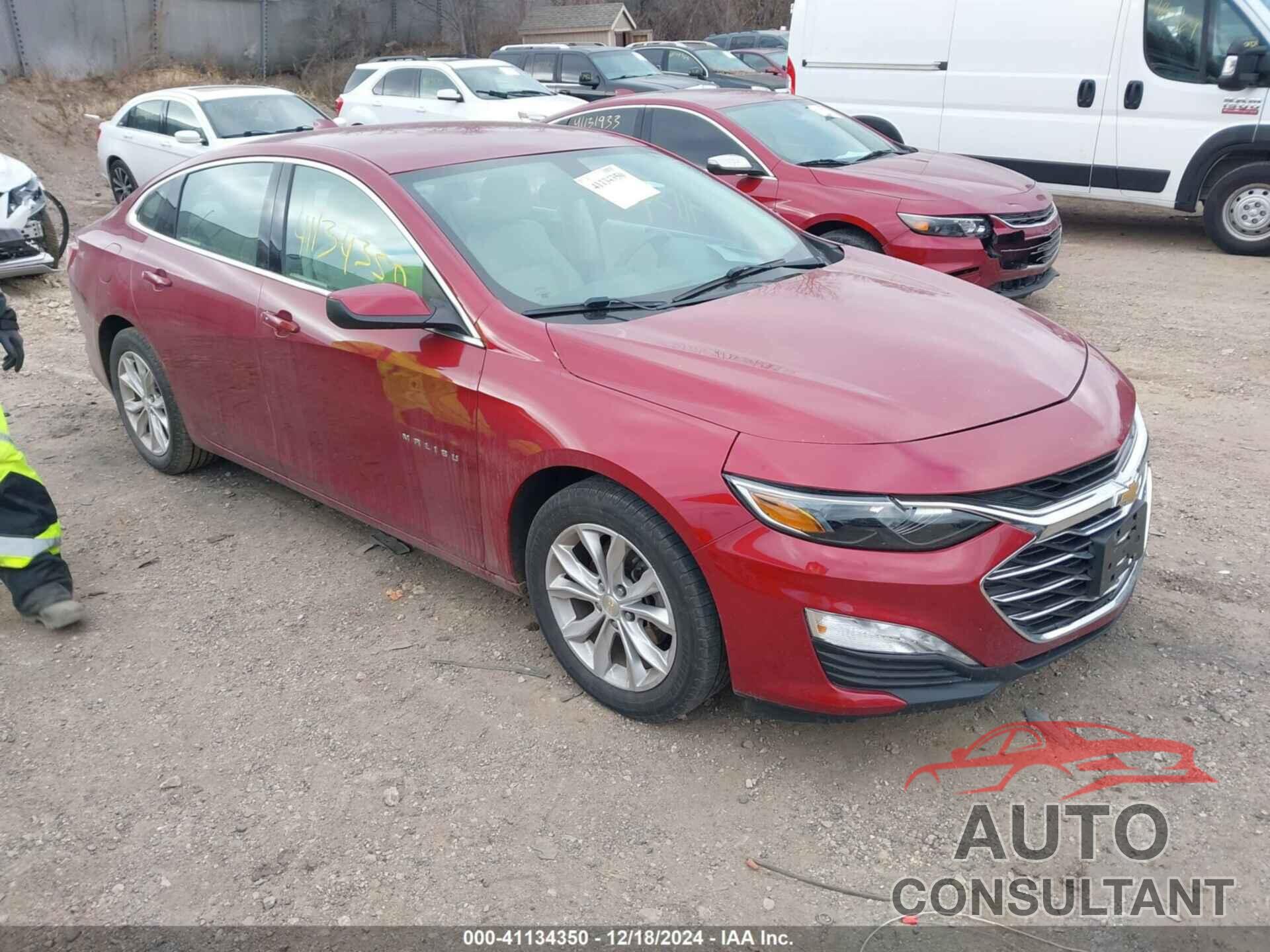 CHEVROLET MALIBU 2019 - 1G1ZD5ST7KF201130