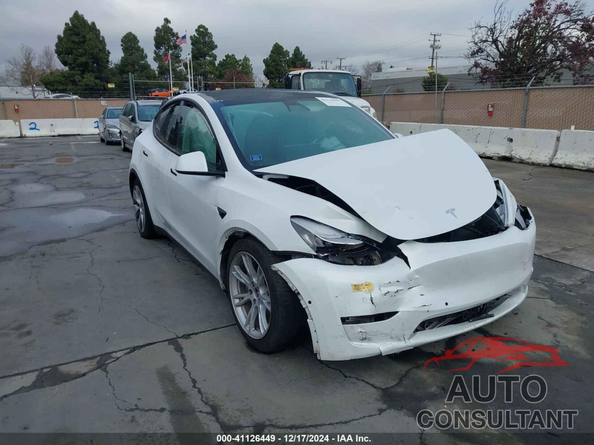 TESLA MODEL Y 2021 - 5YJYGDEE3MF160925