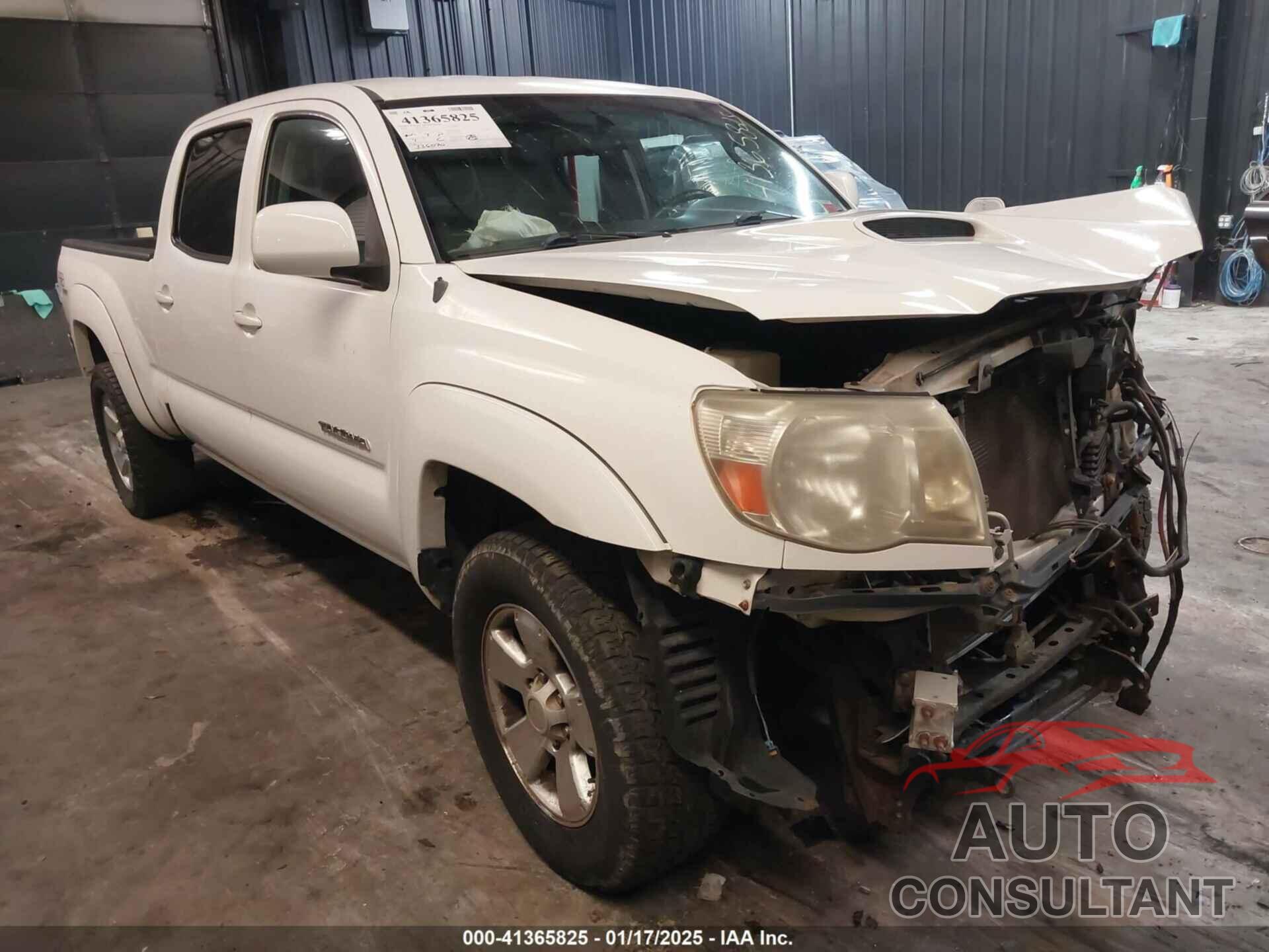 TOYOTA TACOMA 2009 - 5TEMU52N89Z620734